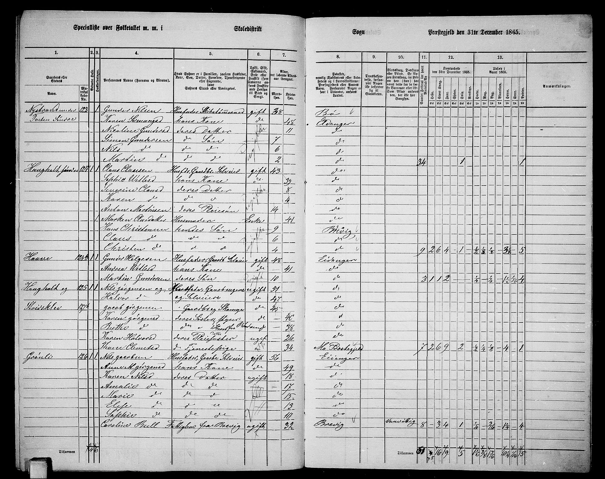 RA, 1865 census for Eidanger, 1865, p. 114