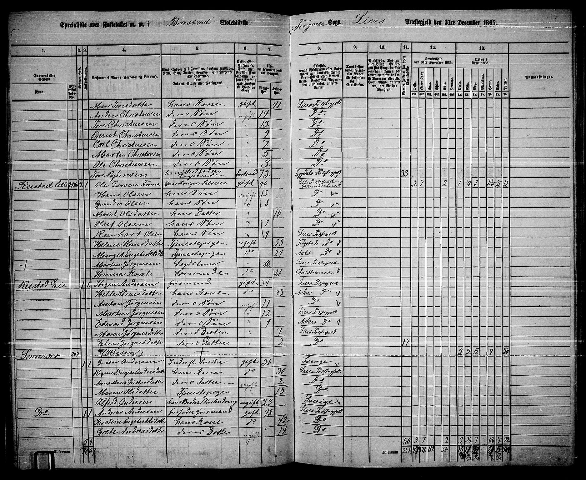 RA, 1865 census for Lier, 1865, p. 138
