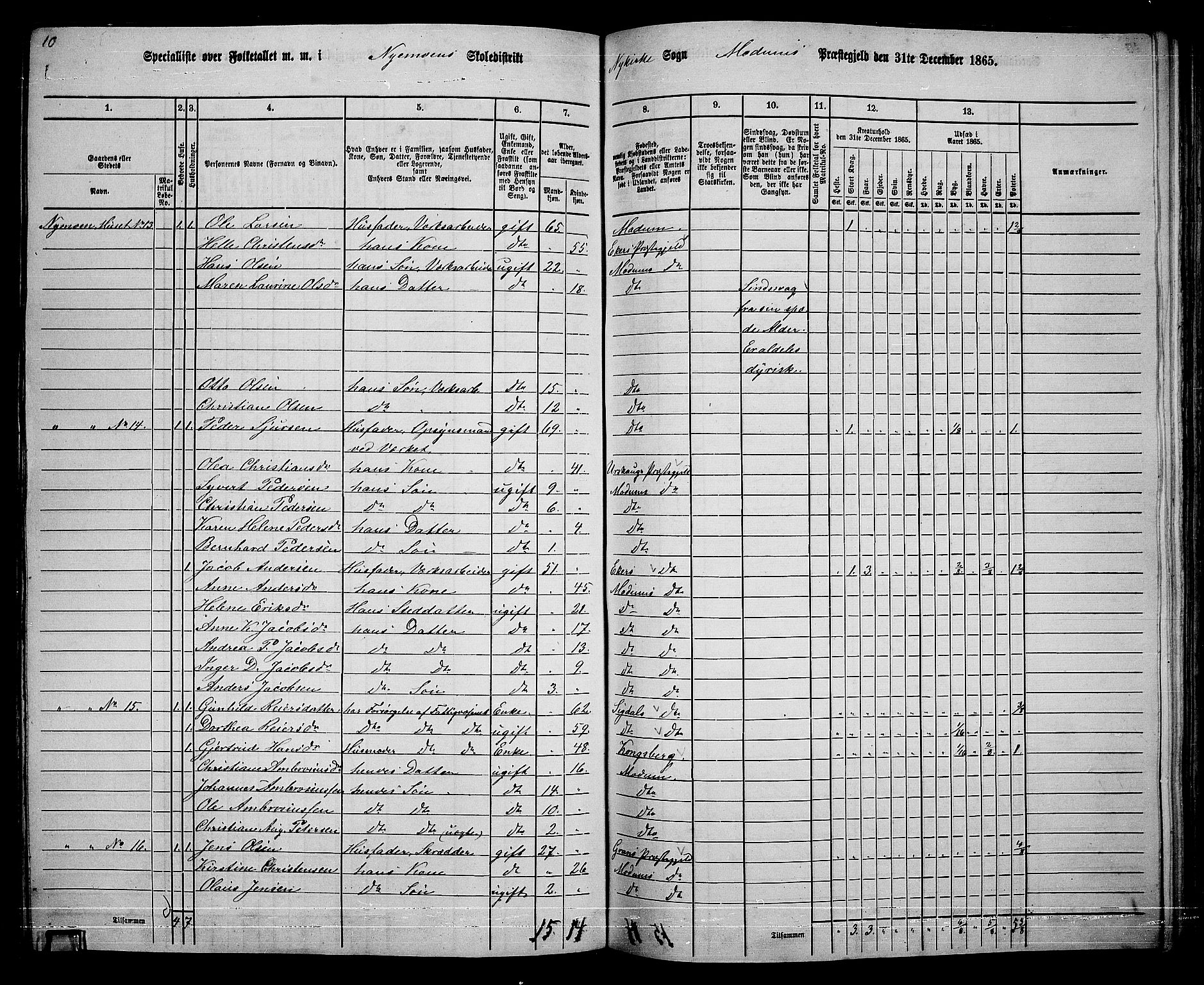 RA, 1865 census for Modum, 1865, p. 235