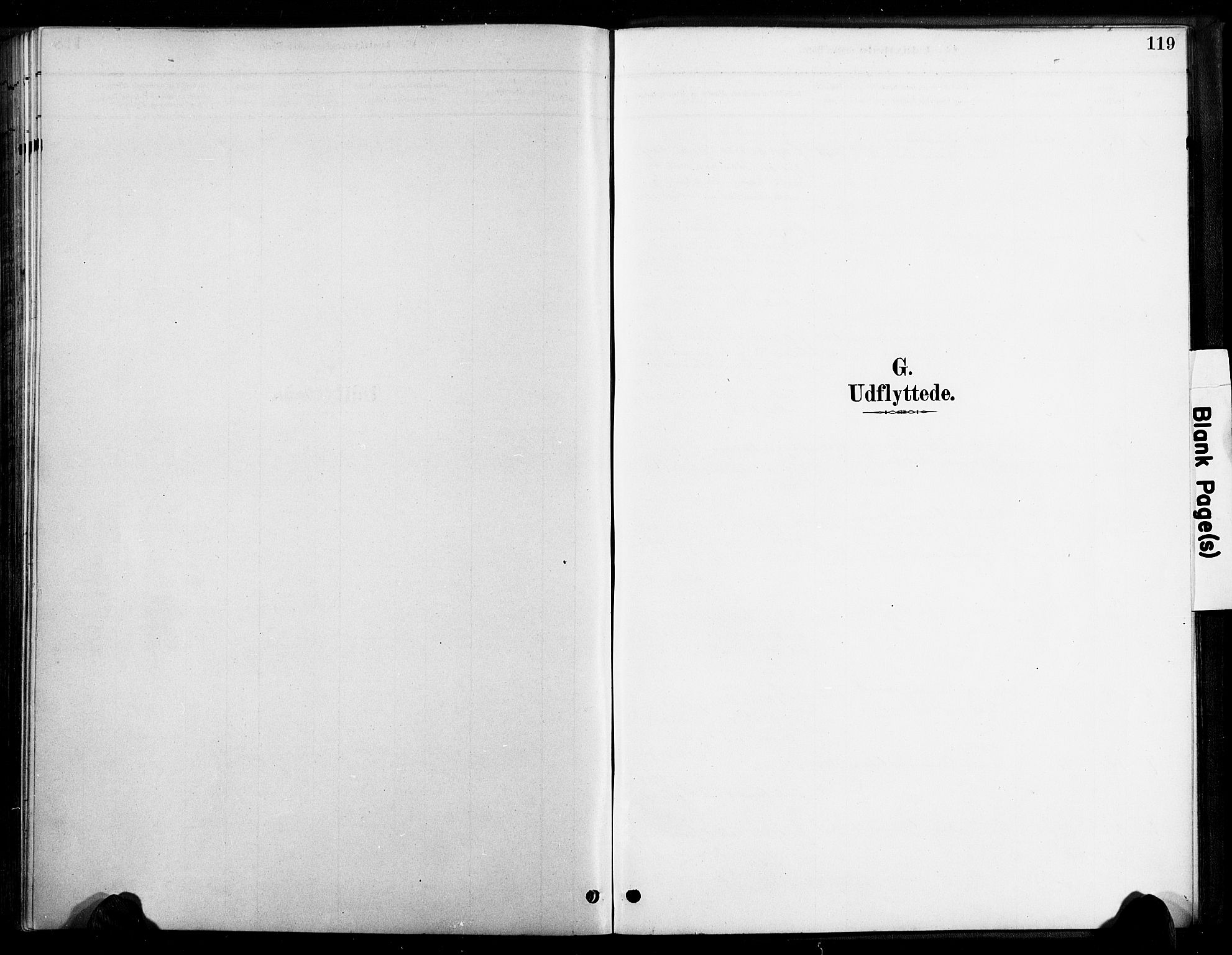 Bygland sokneprestkontor, SAK/1111-0006/F/Fa/Faa/L0001: Parish register (official) no. A 1, 1885-1908, p. 119