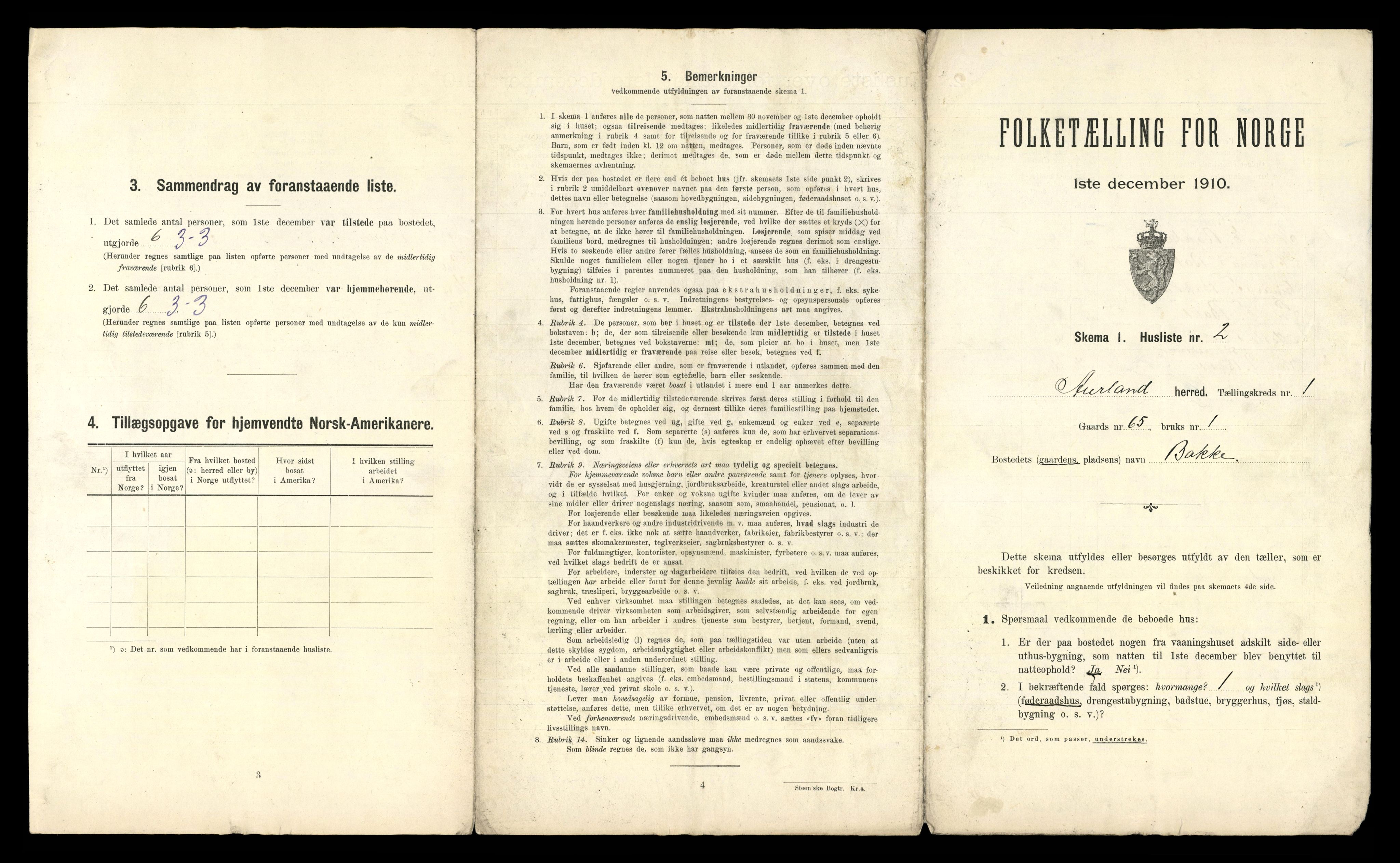 RA, 1910 census for Aurland, 1910, p. 37