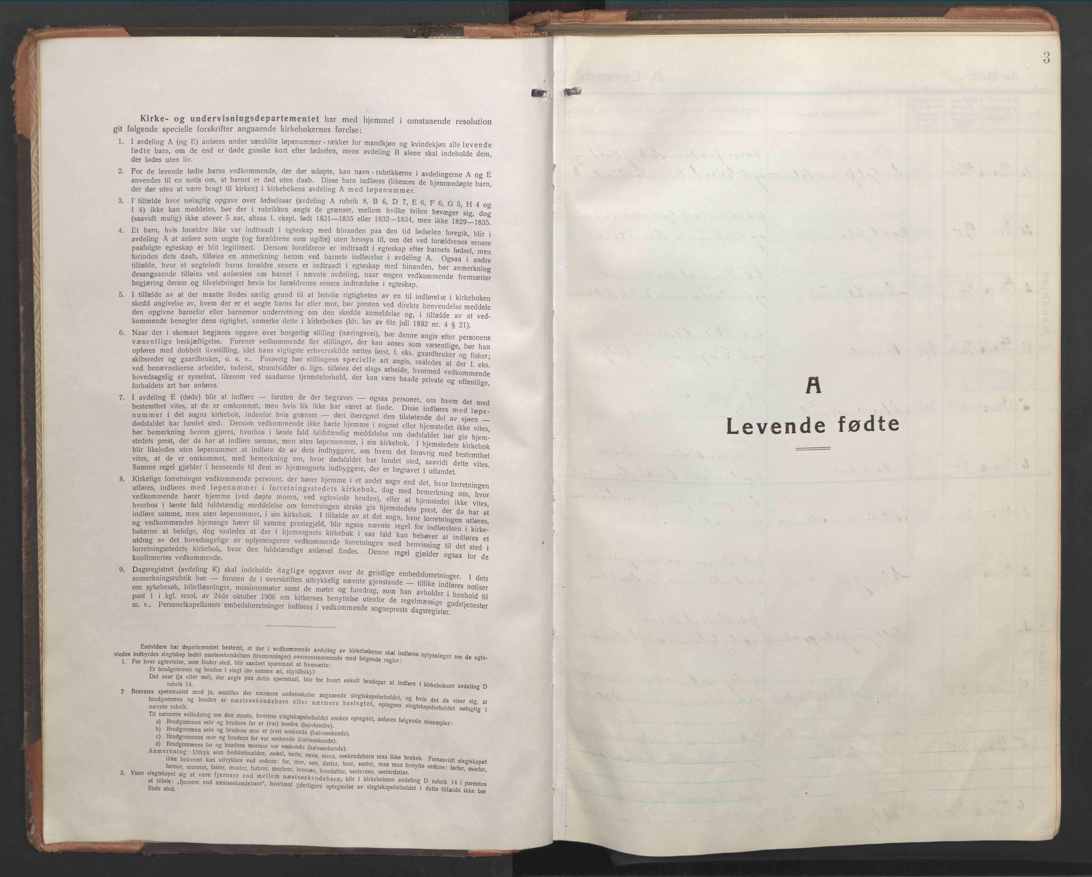 Ministerialprotokoller, klokkerbøker og fødselsregistre - Nordland, SAT/A-1459/865/L0933: Parish register (copy) no. 865C05, 1917-1947, p. 3