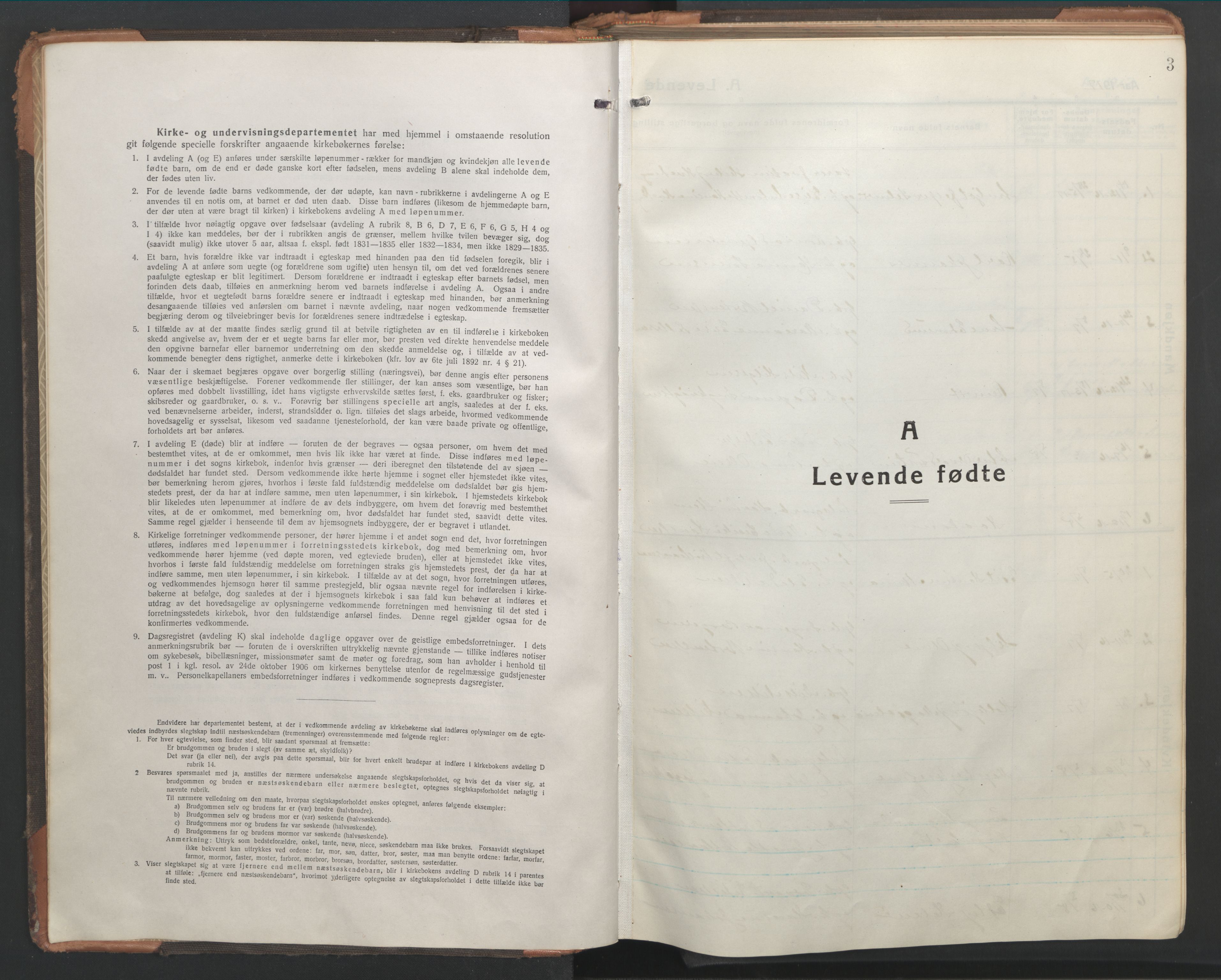 Ministerialprotokoller, klokkerbøker og fødselsregistre - Nordland, AV/SAT-A-1459/865/L0933: Parish register (copy) no. 865C05, 1917-1947, p. 3