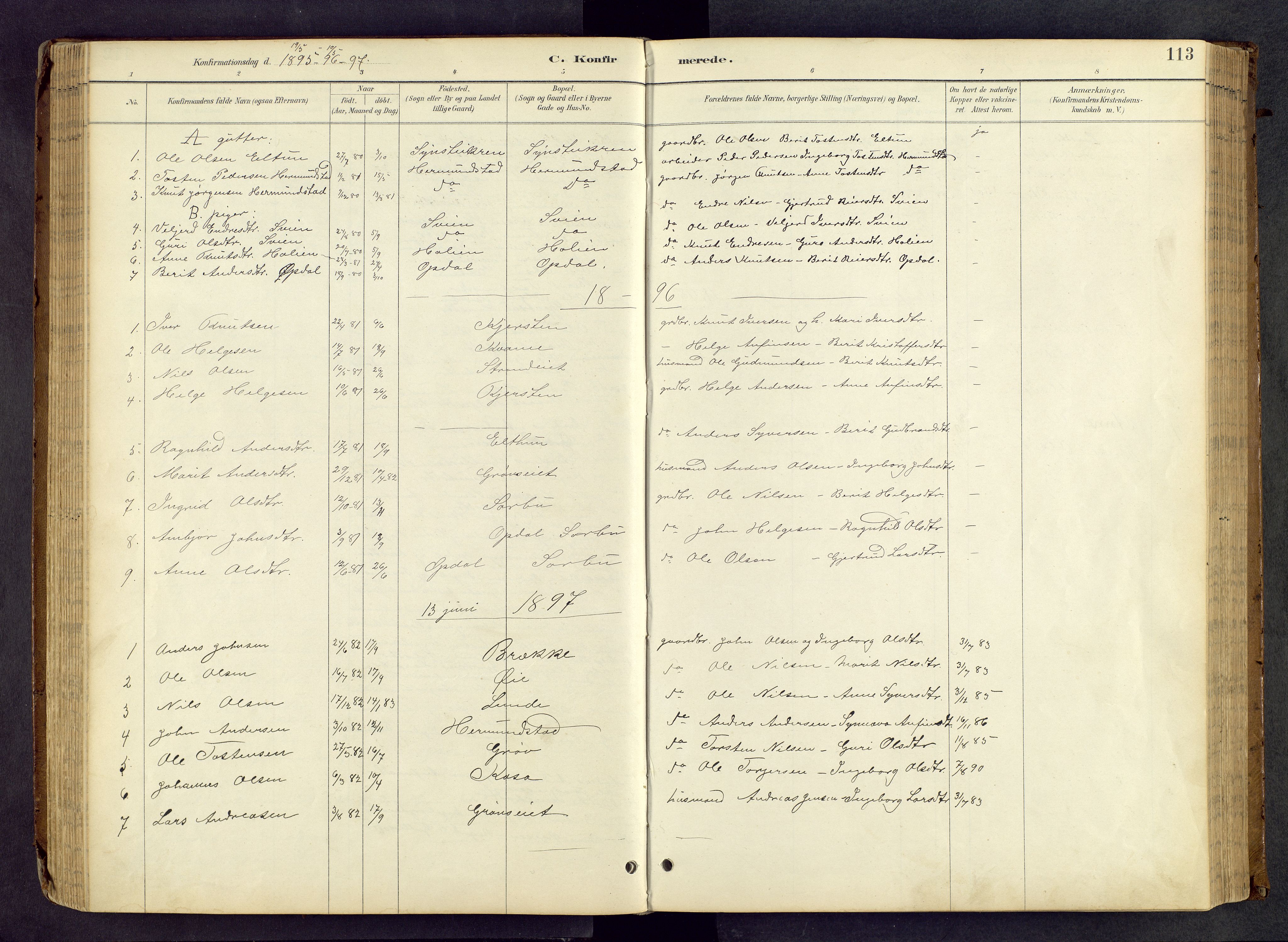 Vang prestekontor, Valdres, SAH/PREST-140/H/Hb/L0005: Parish register (copy) no. 5, 1889-1945, p. 113