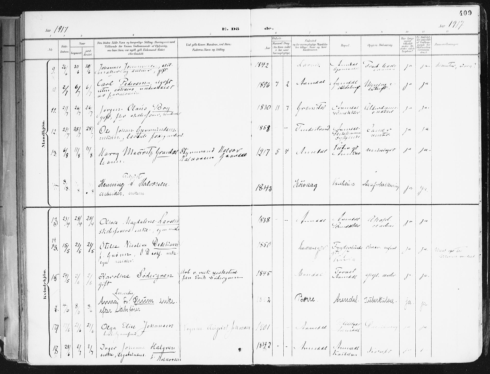 Arendal sokneprestkontor, Trefoldighet, AV/SAK-1111-0040/F/Fa/L0010: Parish register (official) no. A 10, 1900-1919, p. 409