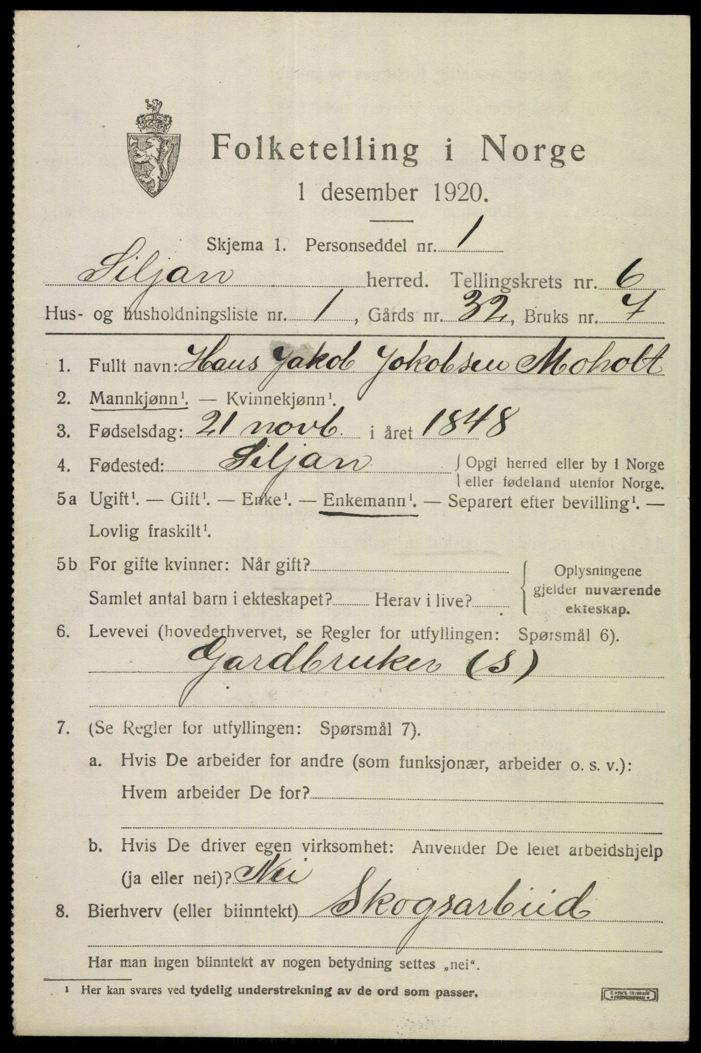 SAKO, 1920 census for Siljan, 1920, p. 2871