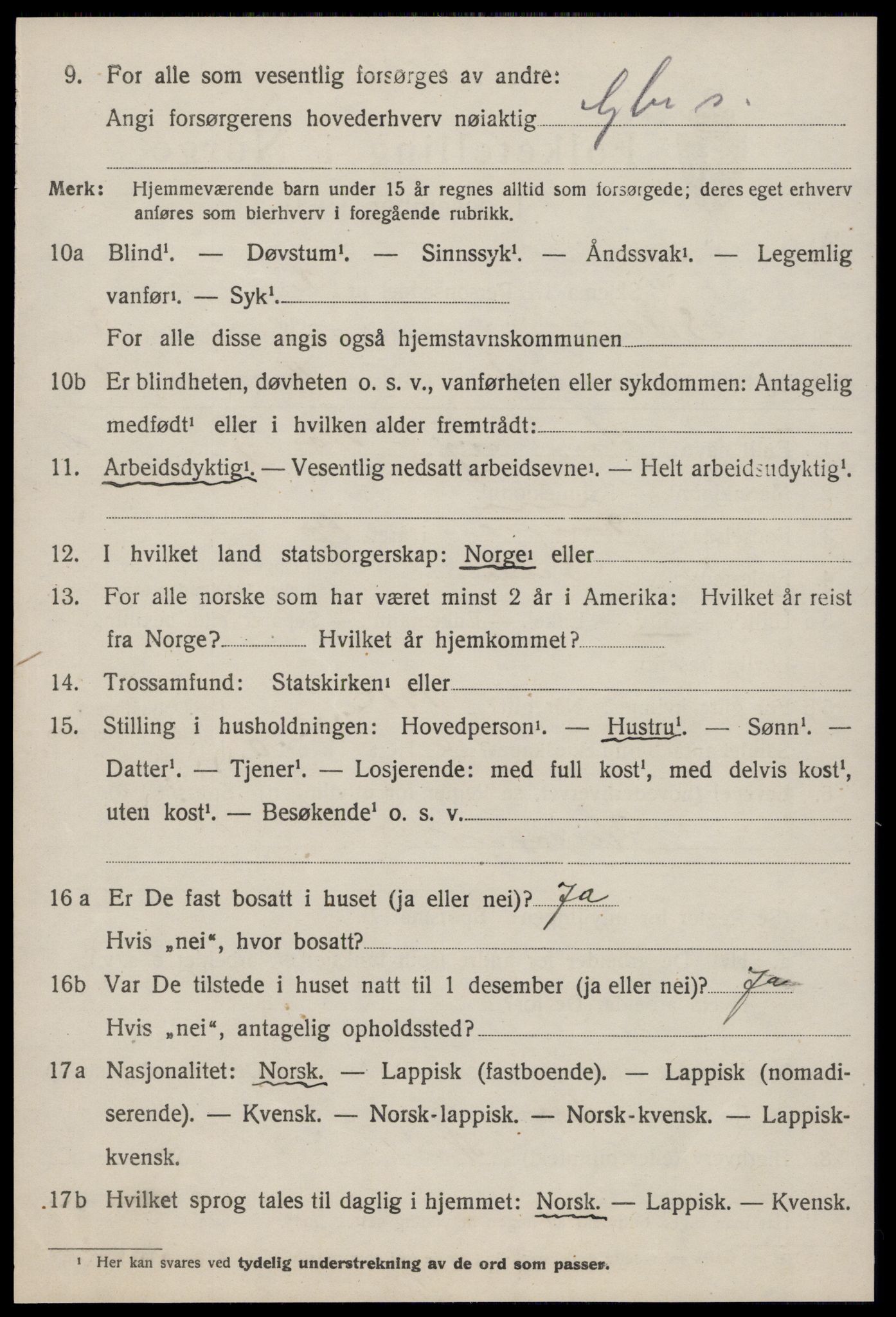 SAT, 1920 census for Selbu, 1920, p. 2453