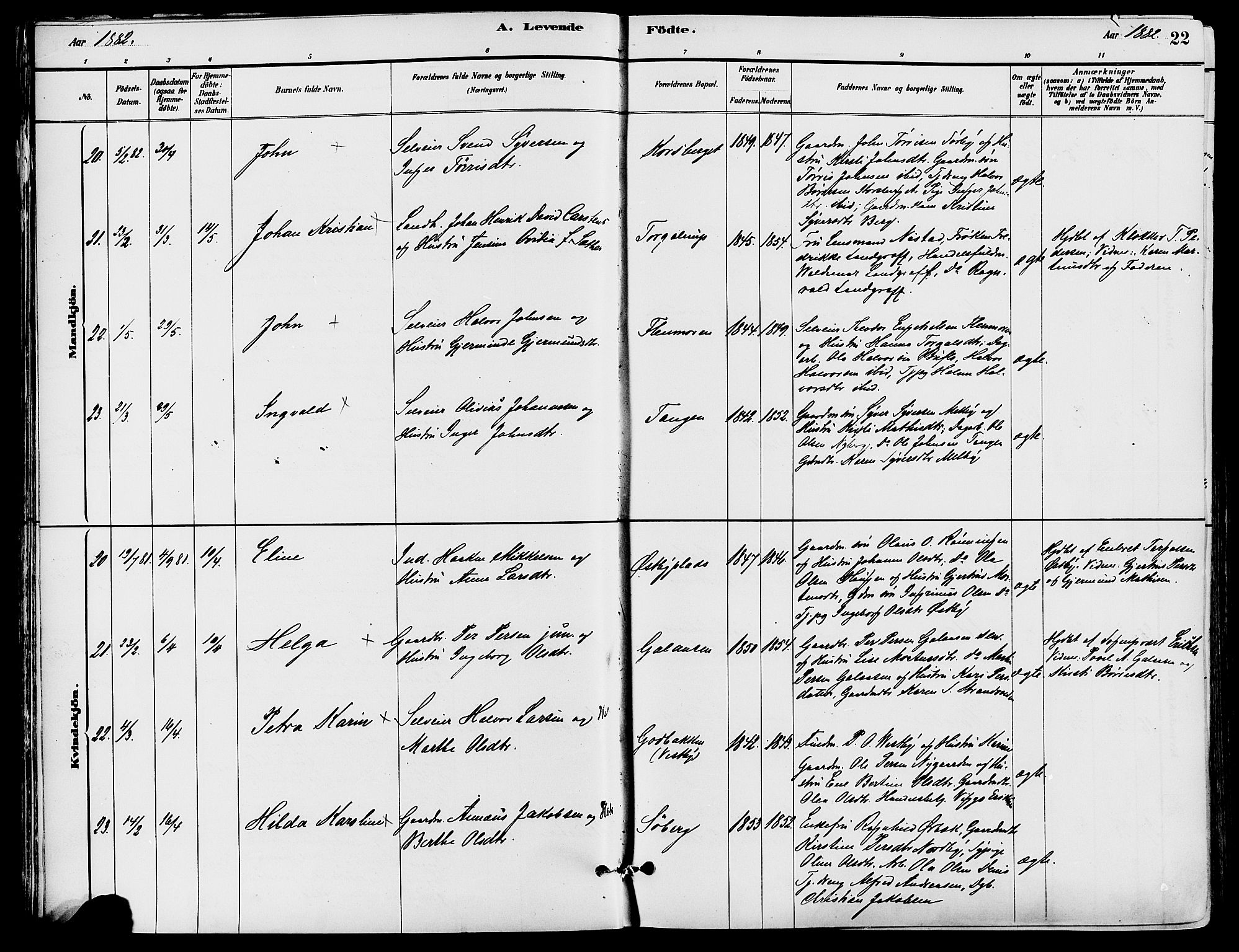 Trysil prestekontor, AV/SAH-PREST-046/H/Ha/Haa/L0008: Parish register (official) no. 8, 1881-1897, p. 22