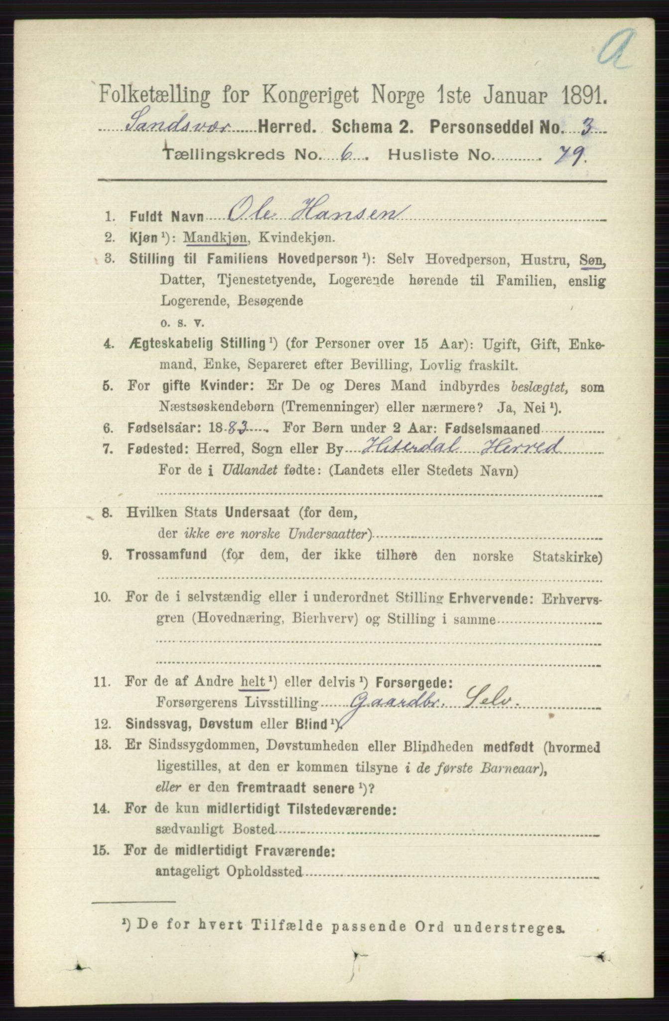 RA, 1891 census for 0629 Sandsvær, 1891, p. 3904