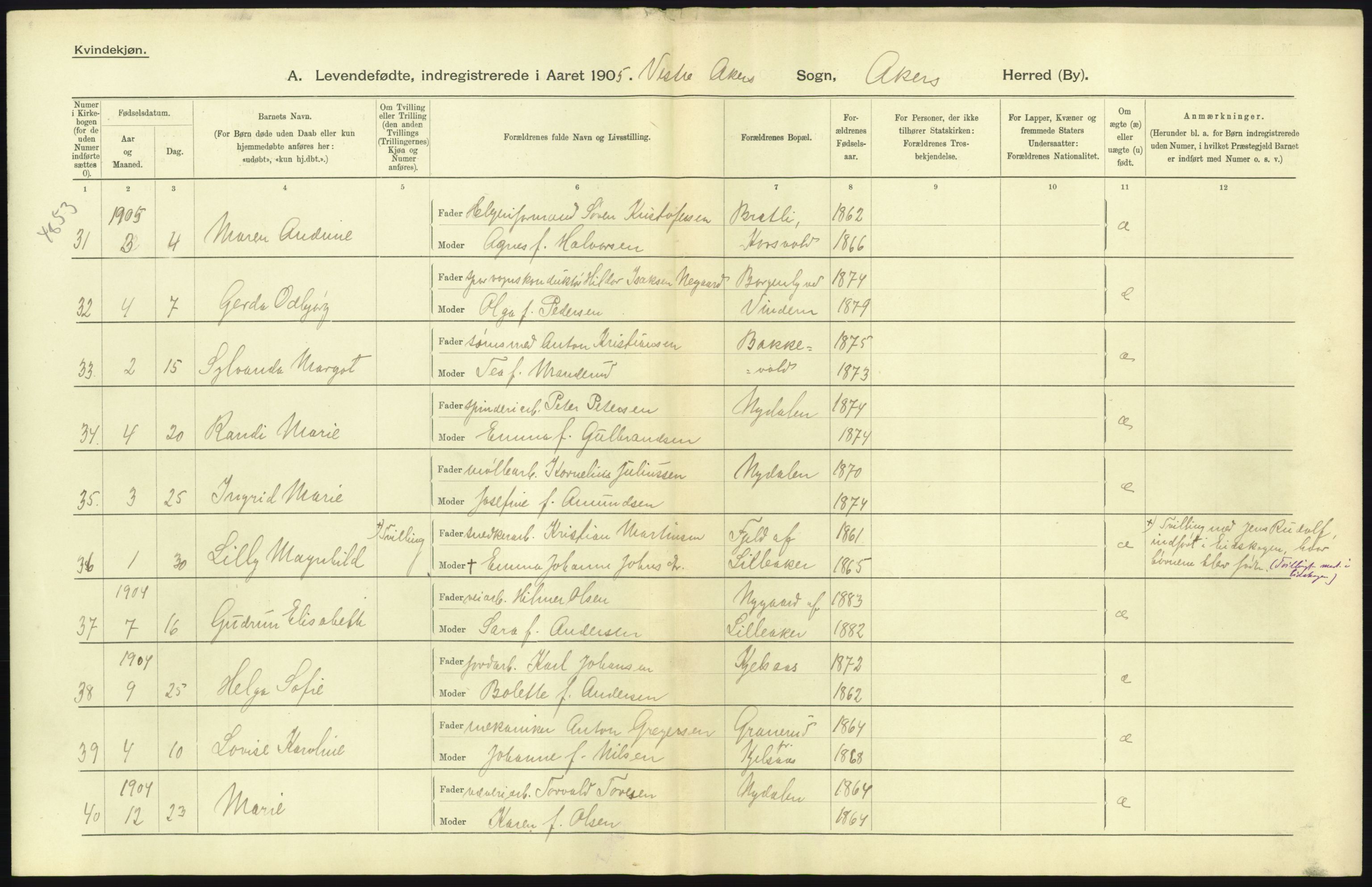 Statistisk sentralbyrå, Sosiodemografiske emner, Befolkning, RA/S-2228/D/Df/Dfa/Dfac/L0004: Akershus amt: Fødte. Bygder., 1905, p. 31