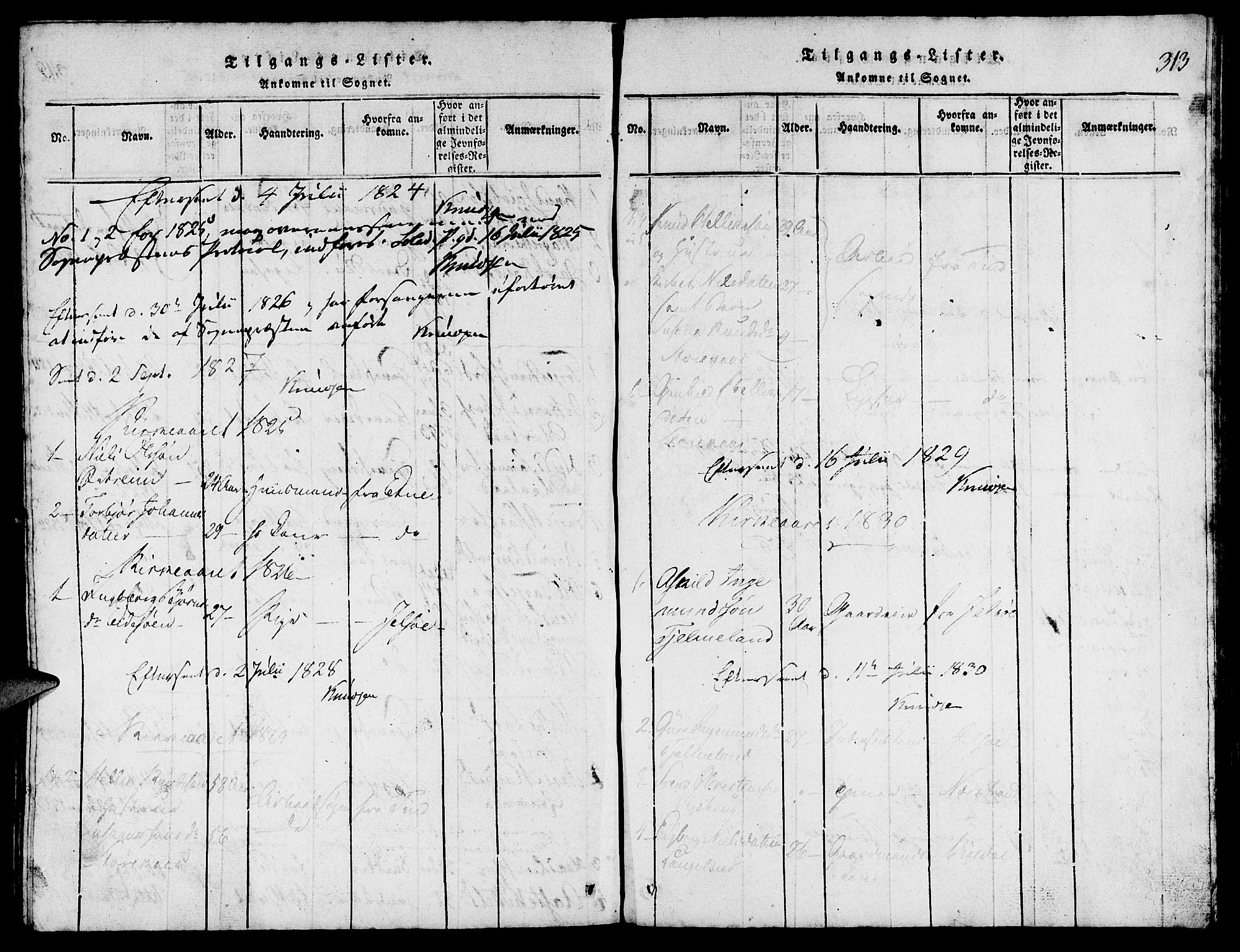 Suldal sokneprestkontor, SAST/A-101845/01/V/L0002: Parish register (copy) no. B 2, 1816-1845, p. 313