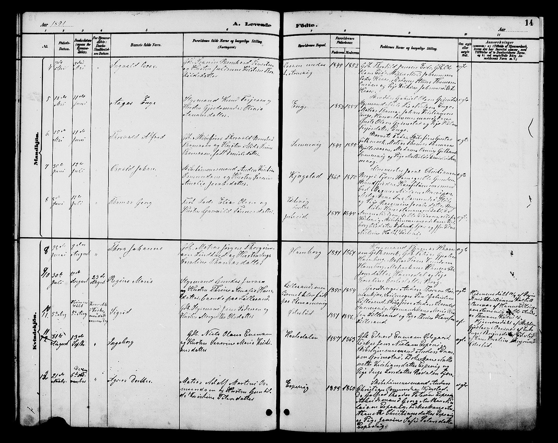 Hommedal sokneprestkontor, AV/SAK-1111-0023/F/Fb/Fba/L0004: Parish register (copy) no. B 4, 1885-1908, p. 14