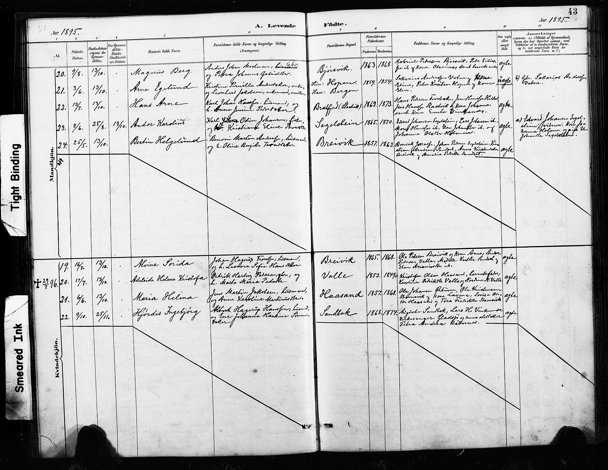 Ministerialprotokoller, klokkerbøker og fødselsregistre - Nordland, AV/SAT-A-1459/858/L0834: Parish register (copy) no. 858C01, 1884-1904, p. 43