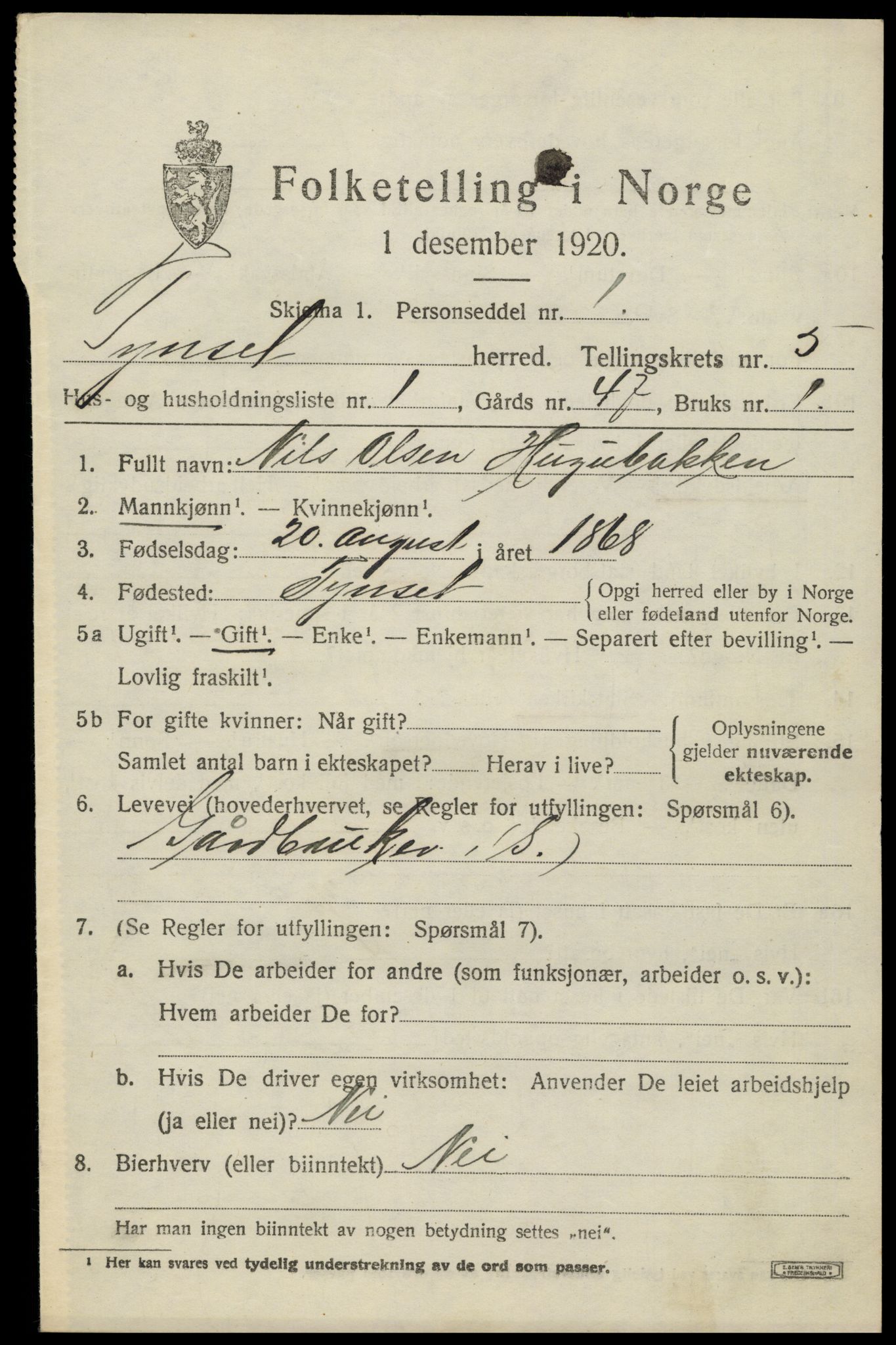 SAH, 1920 census for Tynset, 1920, p. 4082