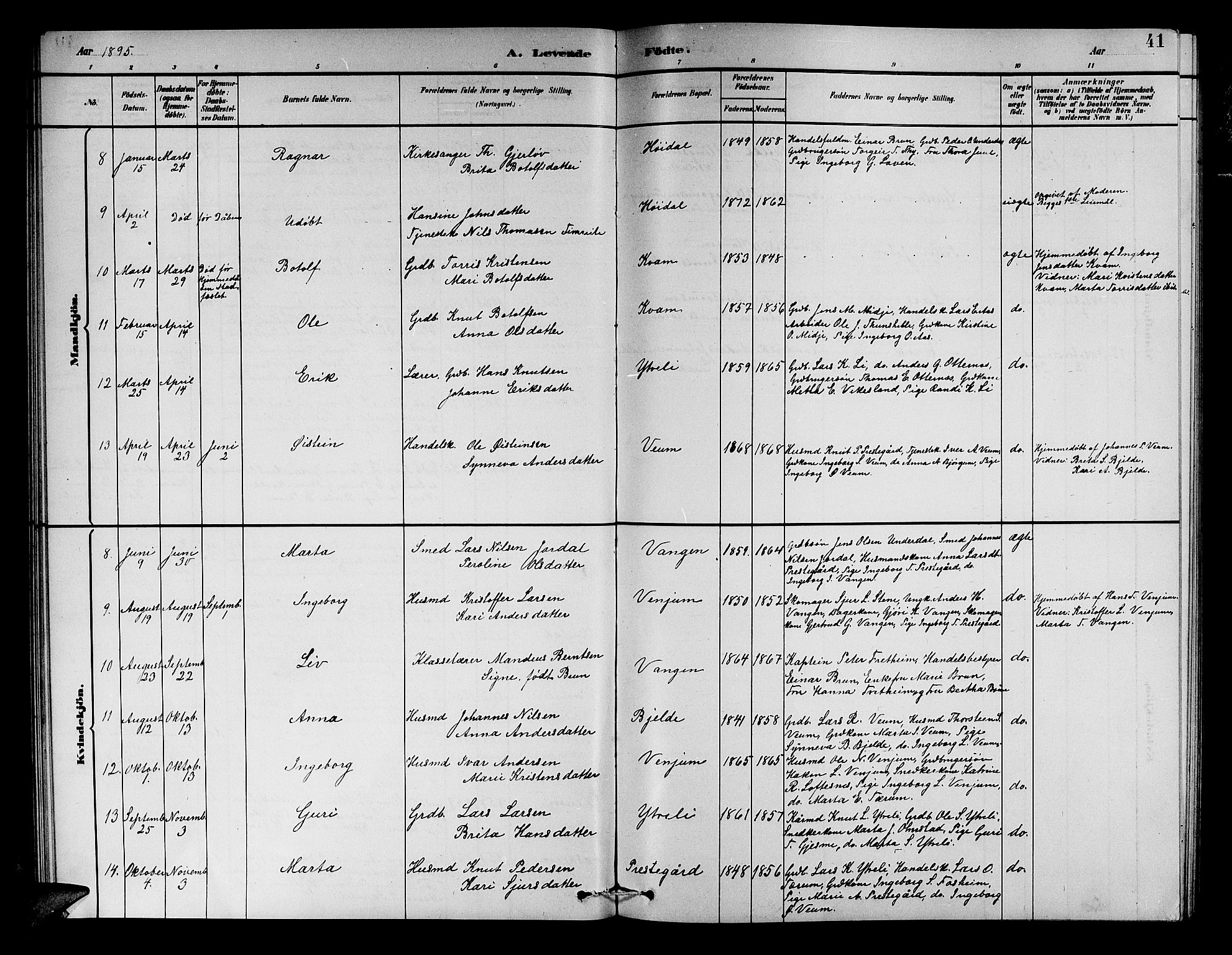 Aurland sokneprestembete, SAB/A-99937/H/Hb/Hba/L0002: Parish register (copy) no. A 2, 1880-1895, p. 41