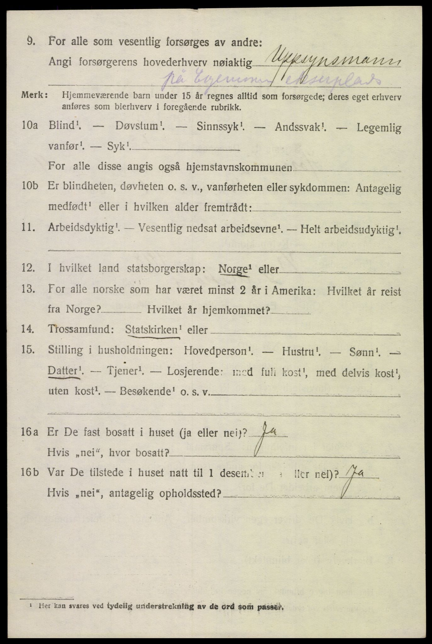 SAK, 1920 census for Hornnes, 1920, p. 1334