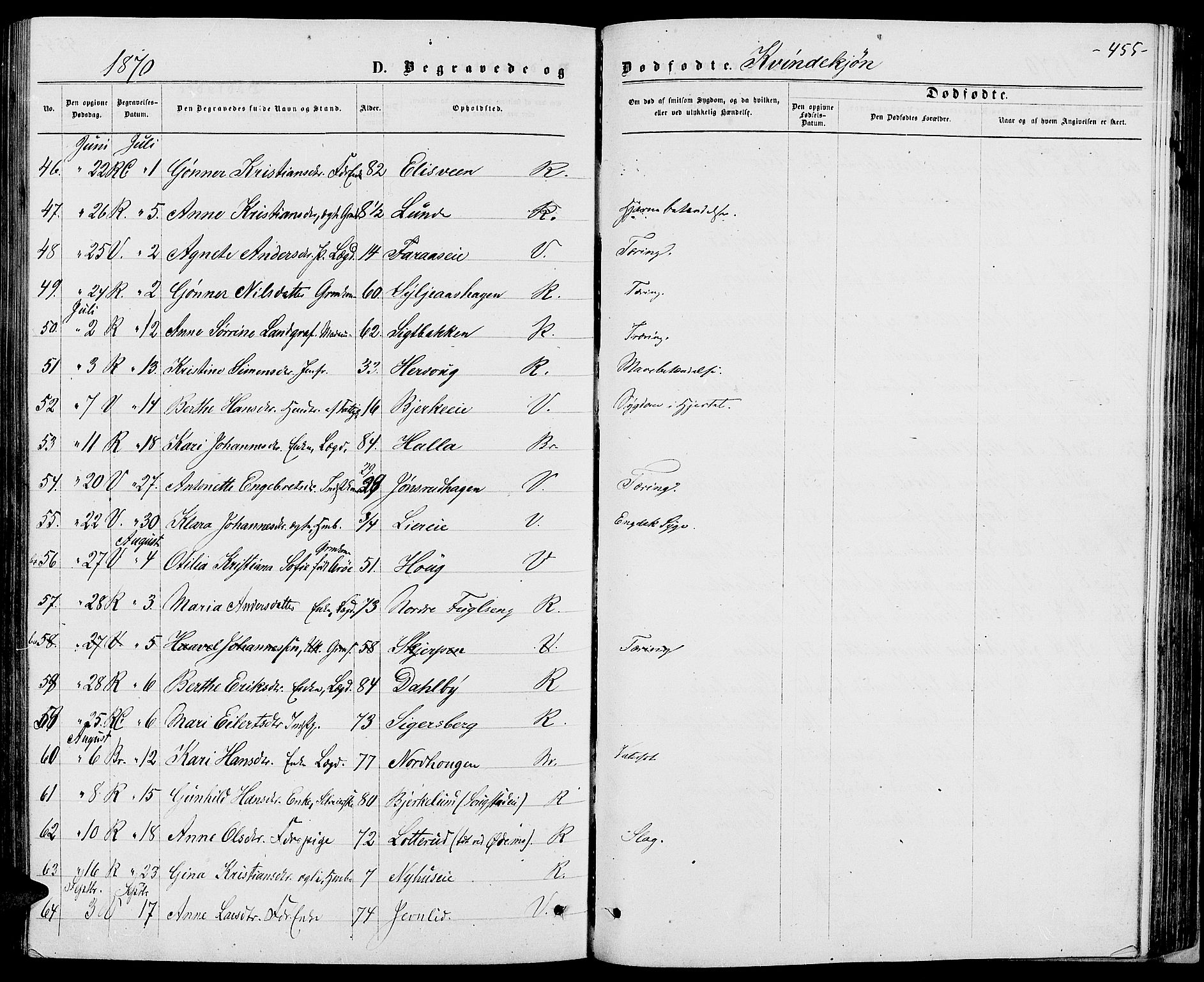 Ringsaker prestekontor, AV/SAH-PREST-014/L/La/L0008: Parish register (copy) no. 8, 1870-1878, p. 455