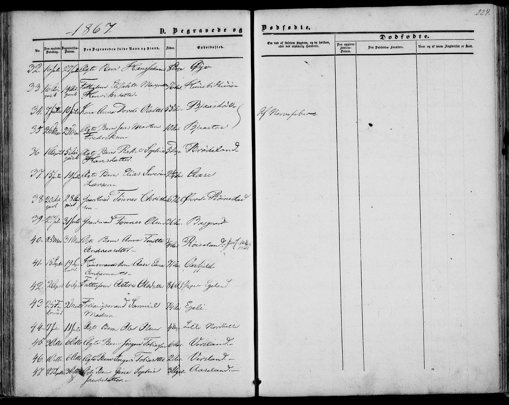 Kvinesdal sokneprestkontor, AV/SAK-1111-0026/F/Fa/Fab/L0006: Parish register (official) no. A 6, 1857-1869, p. 224