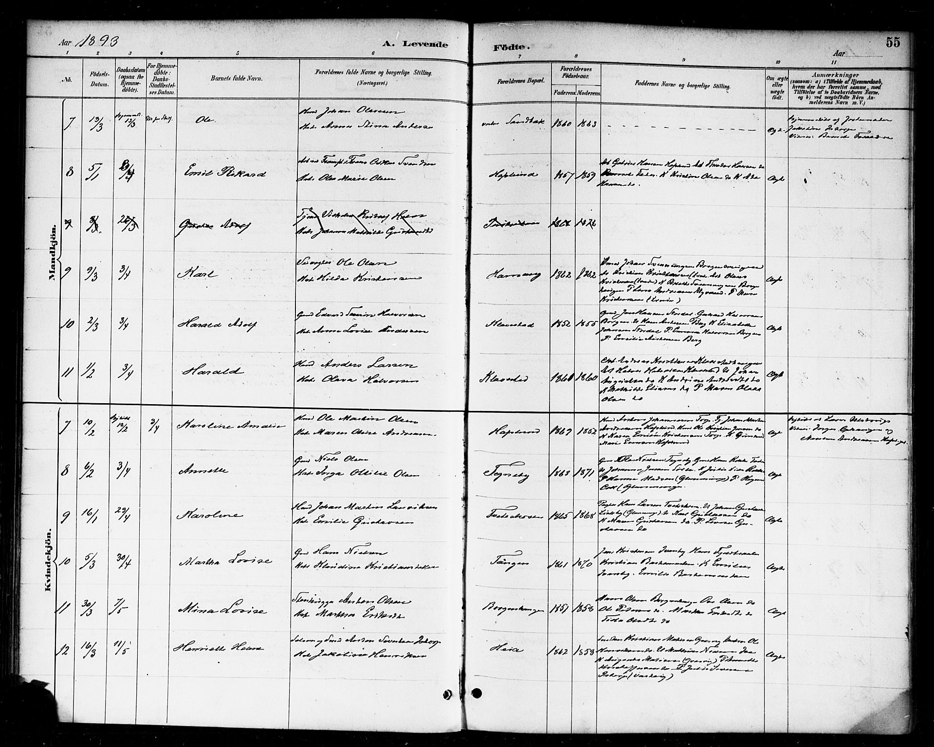 Skjeberg prestekontor Kirkebøker, AV/SAO-A-10923/F/Fa/L0009: Parish register (official) no. I 9, 1886-1897, p. 55