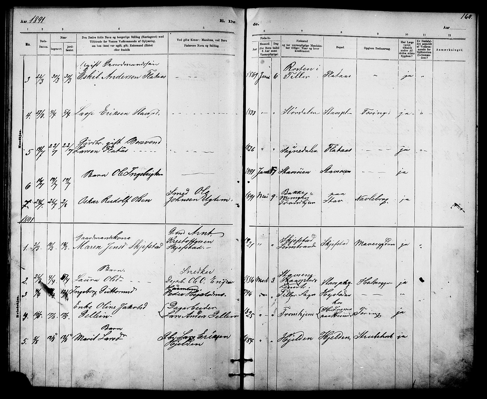 Ministerialprotokoller, klokkerbøker og fødselsregistre - Sør-Trøndelag, SAT/A-1456/613/L0395: Parish register (copy) no. 613C03, 1887-1909, p. 160