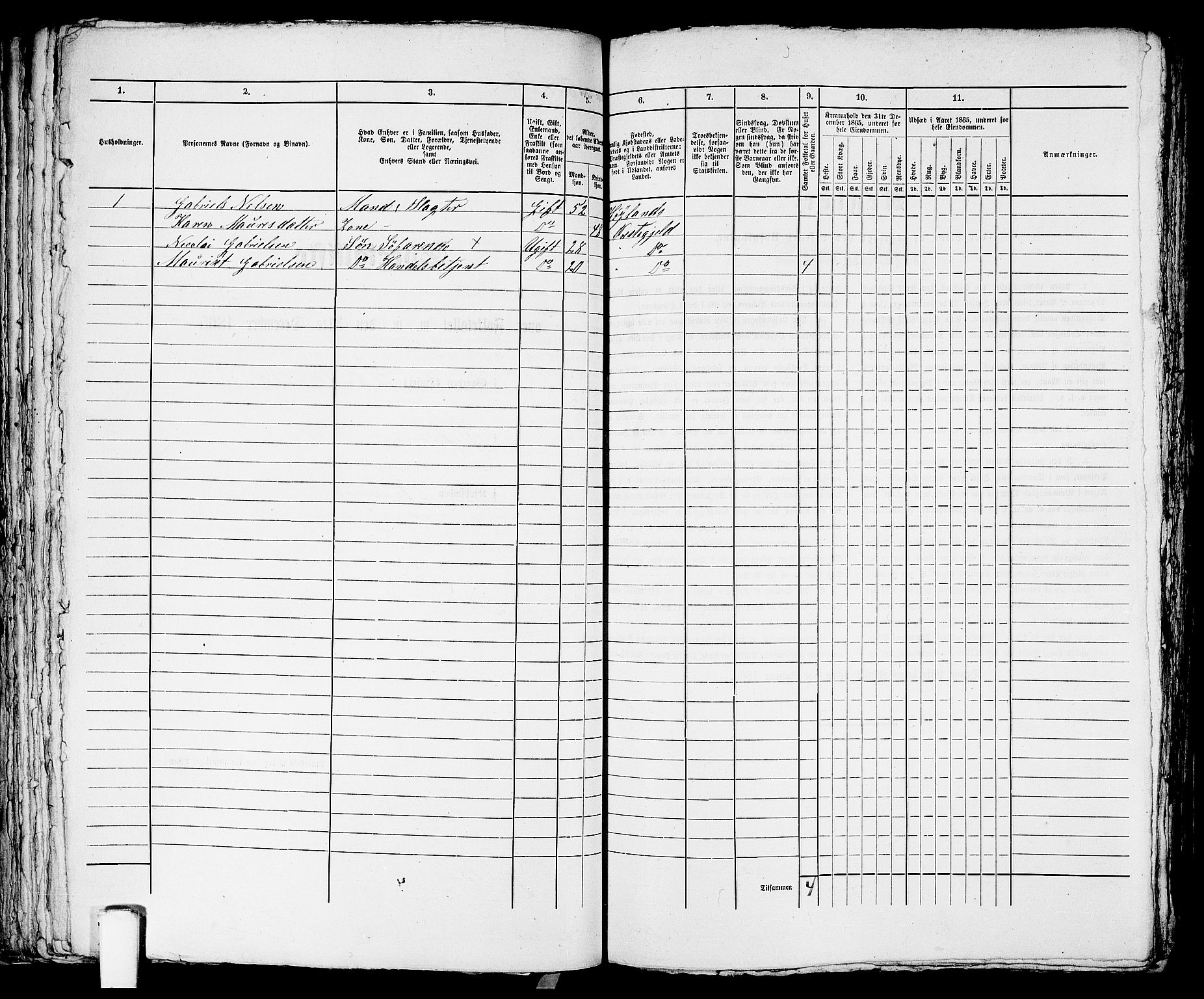 RA, 1865 census for Stavanger, 1865, p. 1656