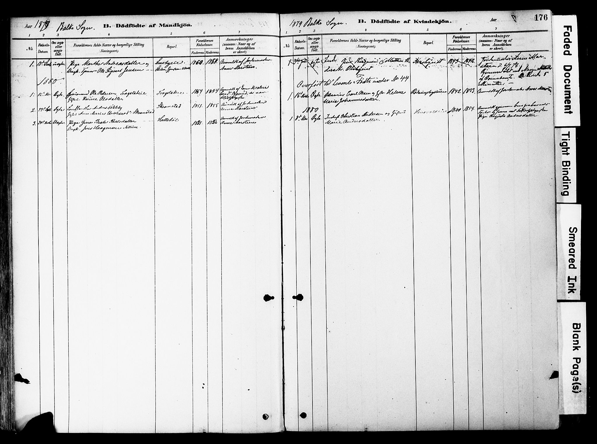 Østre Toten prestekontor, SAH/PREST-104/H/Ha/Haa/L0006: Parish register (official) no. 6 /2, 1878-1880, p. 176