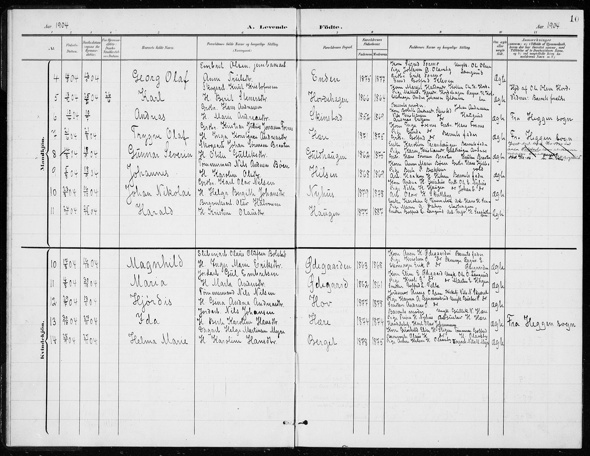 Modum kirkebøker, AV/SAKO-A-234/G/Gd/L0001: Parish register (copy) no. IV 1, 1901-1921, p. 10