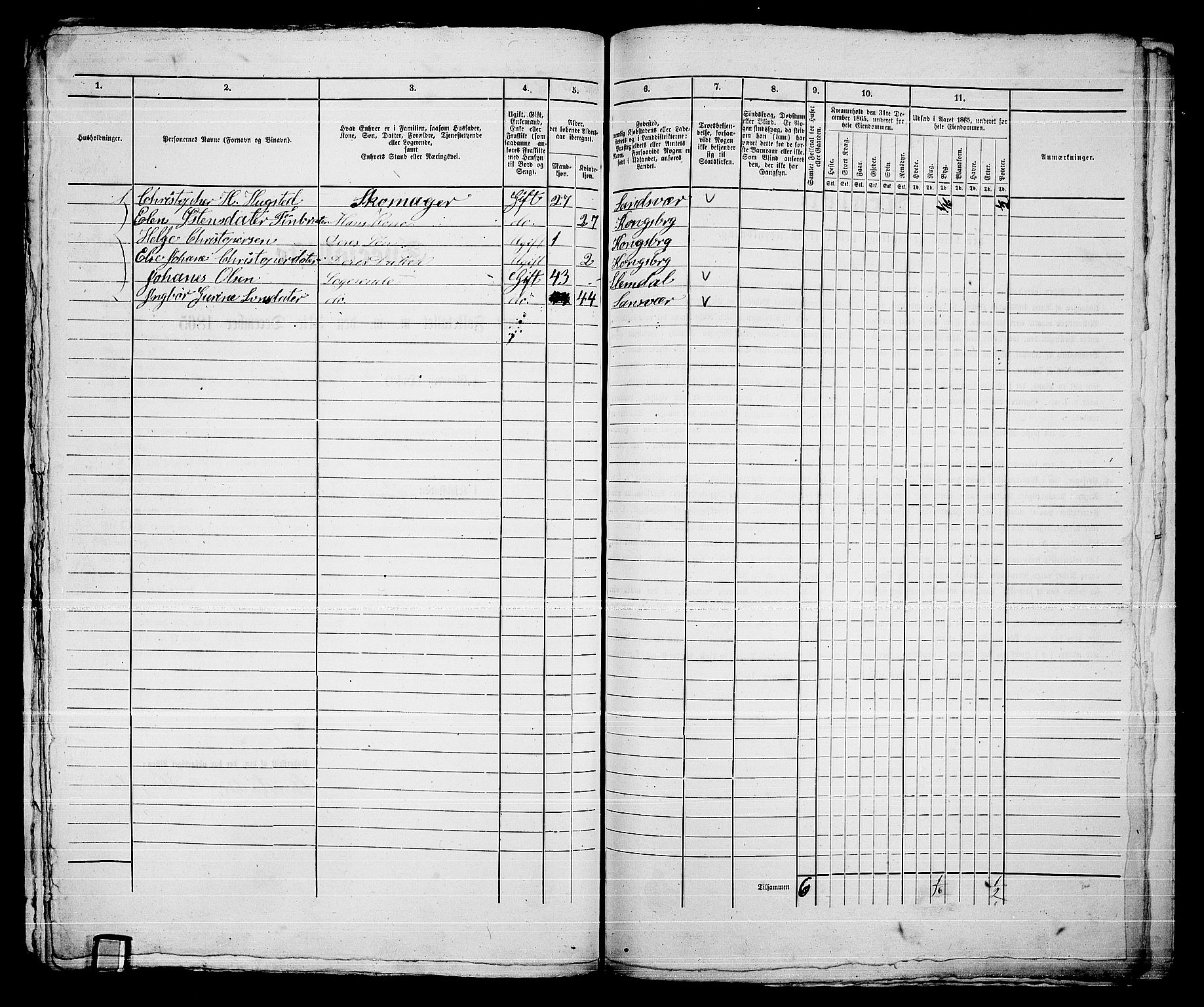 RA, 1865 census for Kongsberg/Kongsberg, 1865, p. 1517