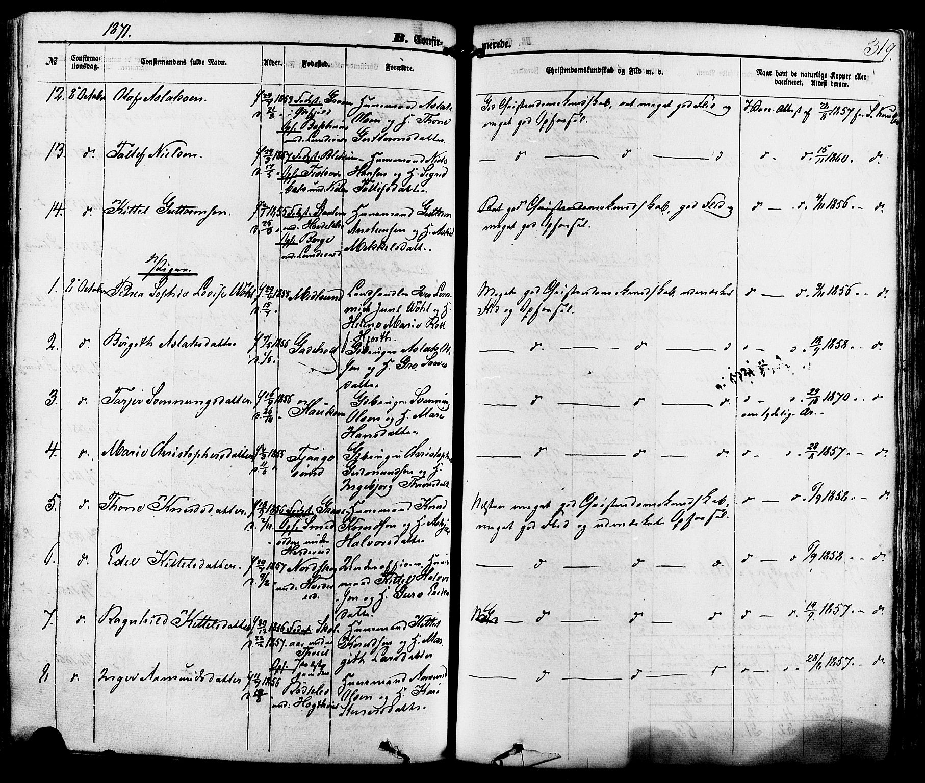 Kviteseid kirkebøker, AV/SAKO-A-276/F/Fa/L0007: Parish register (official) no. I 7, 1859-1881, p. 319