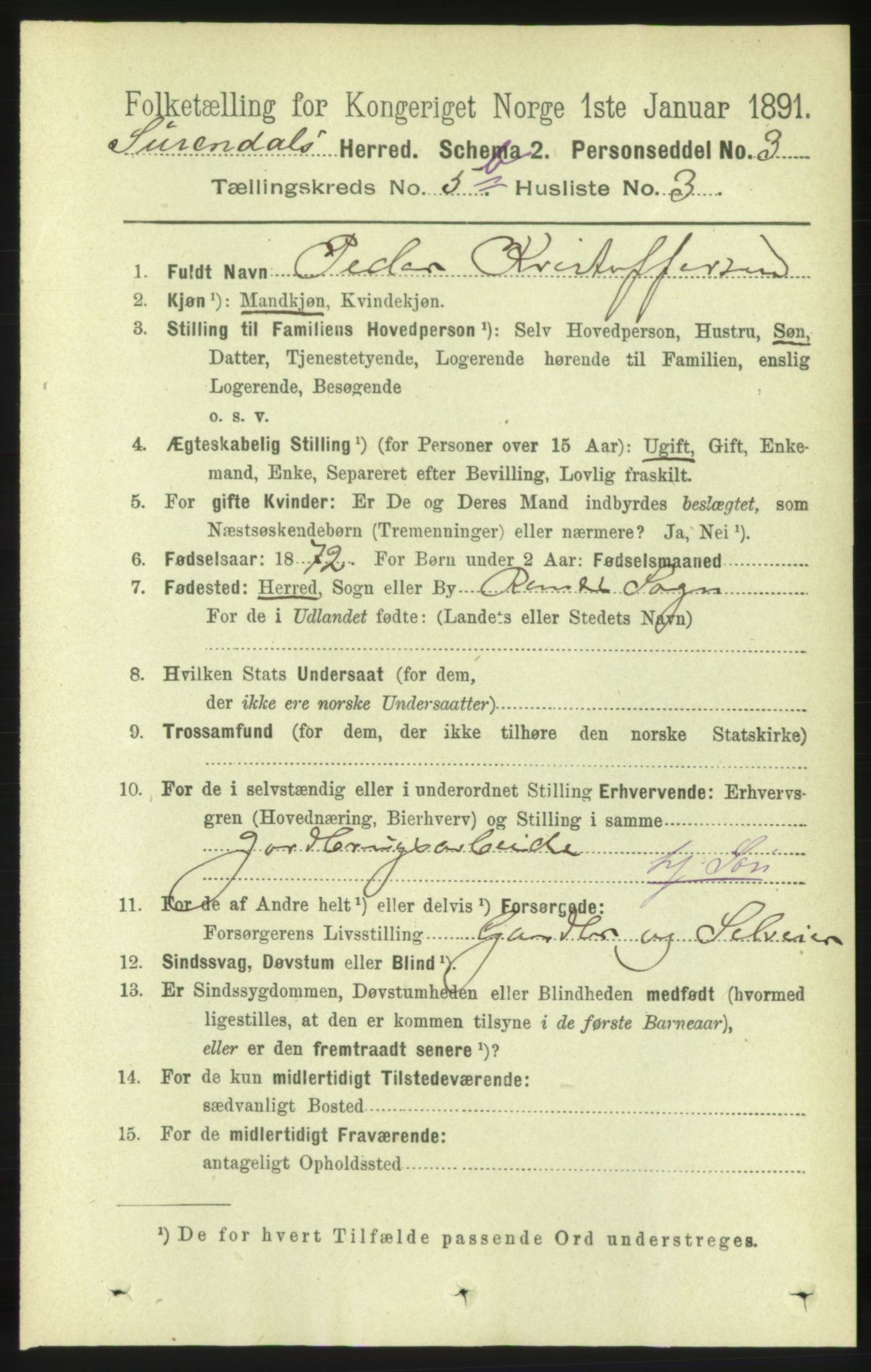 RA, 1891 census for 1566 Surnadal, 1891, p. 1504