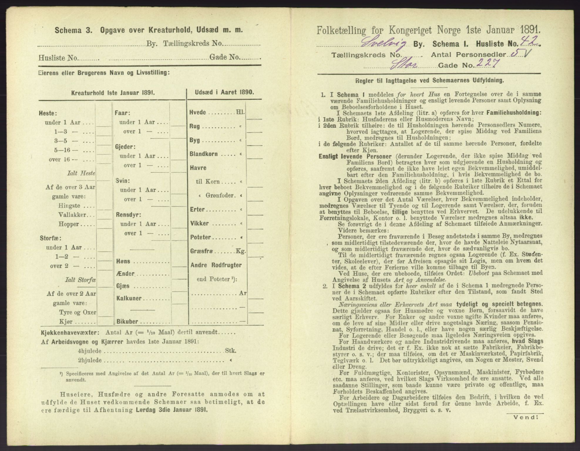 RA, 1891 census for 0701 Svelvik, 1891, p. 542