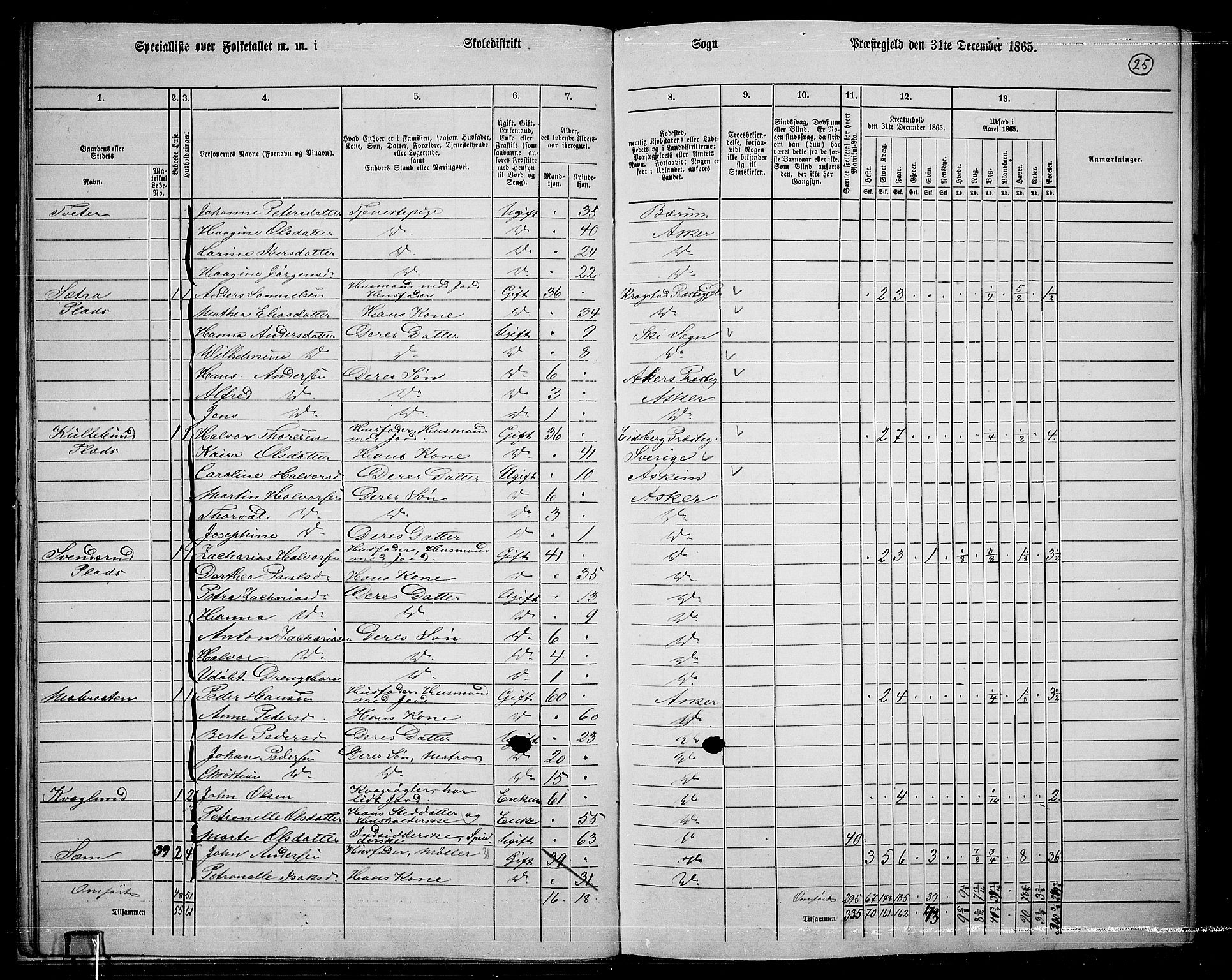 RA, 1865 census for Asker, 1865, p. 27