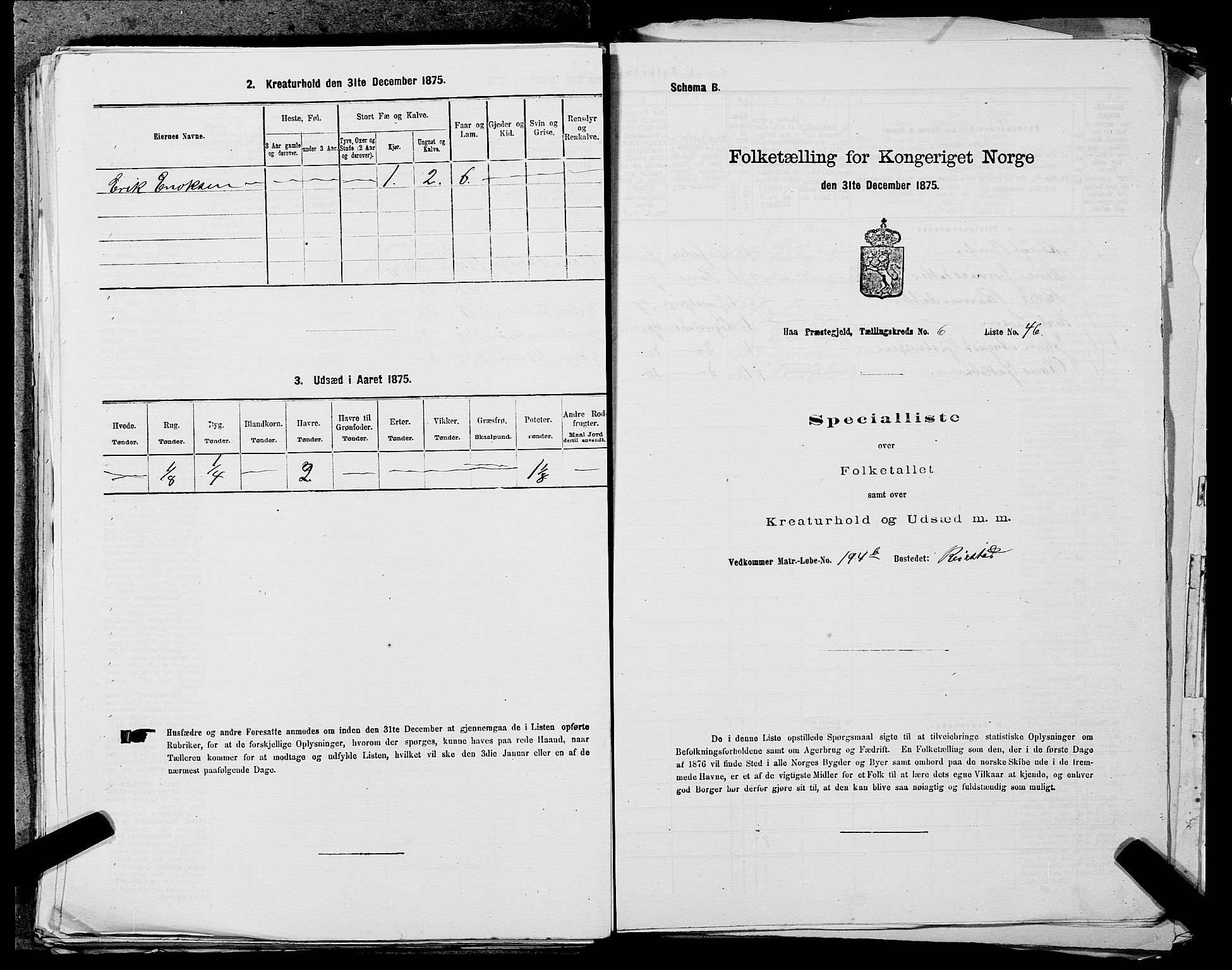 SAST, 1875 census for 1119P Hå, 1875, p. 717