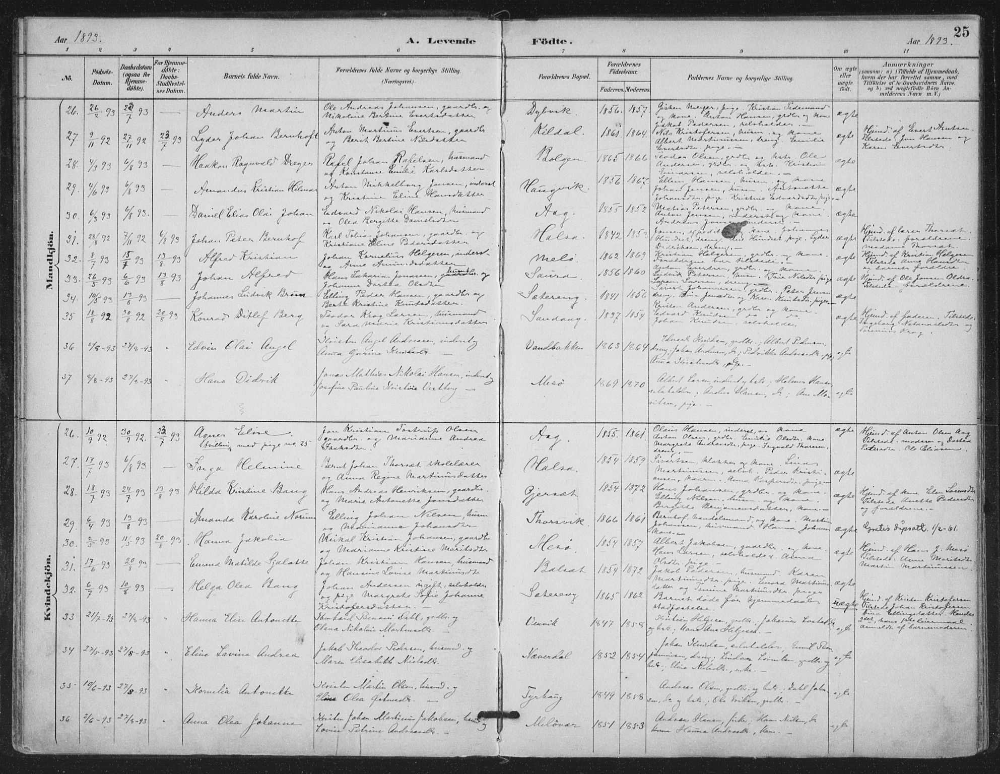 Ministerialprotokoller, klokkerbøker og fødselsregistre - Nordland, SAT/A-1459/843/L0628: Parish register (official) no. 843A03, 1889-1907, p. 25
