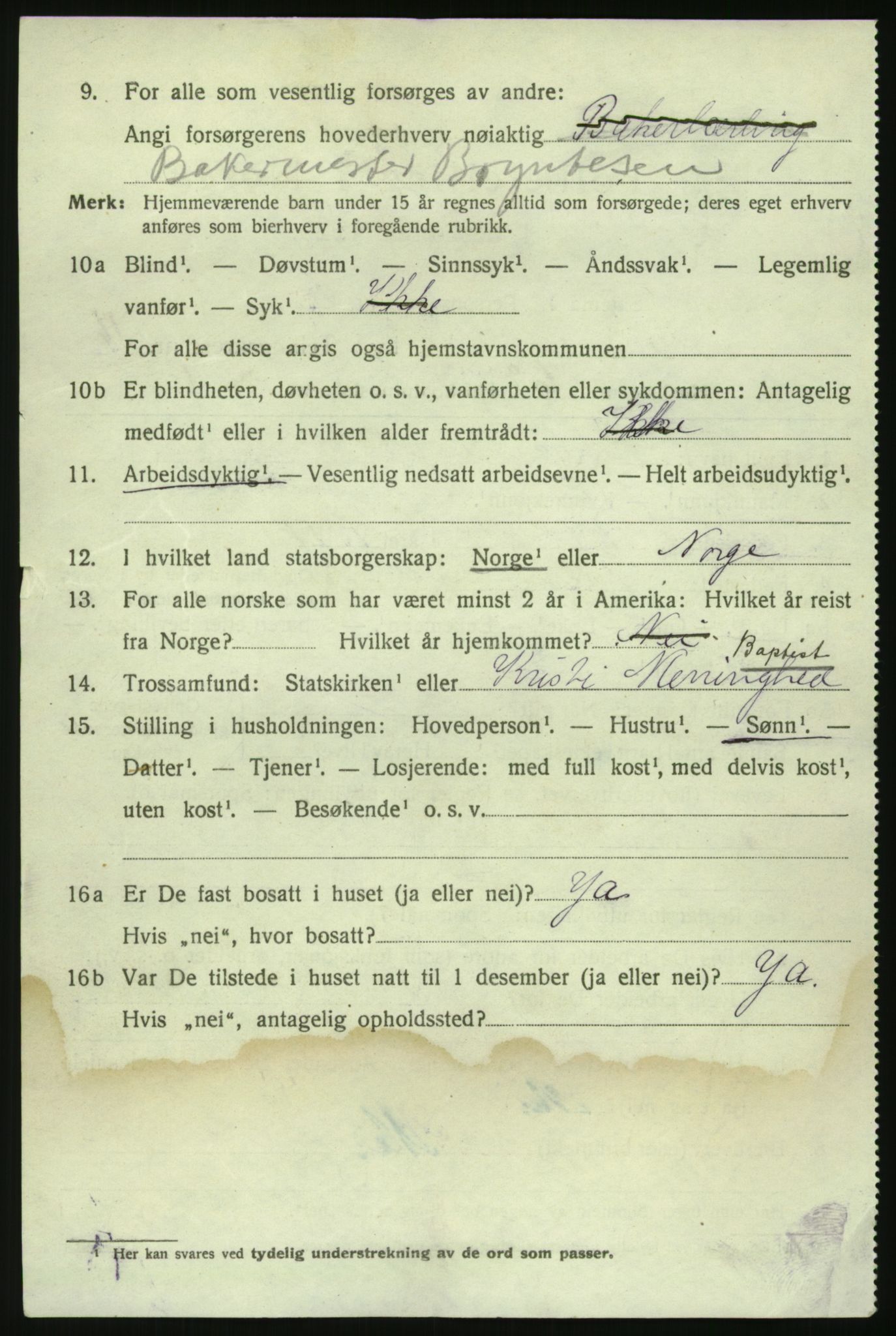 RA, 1920 census: Additional forms, 1920, p. 8