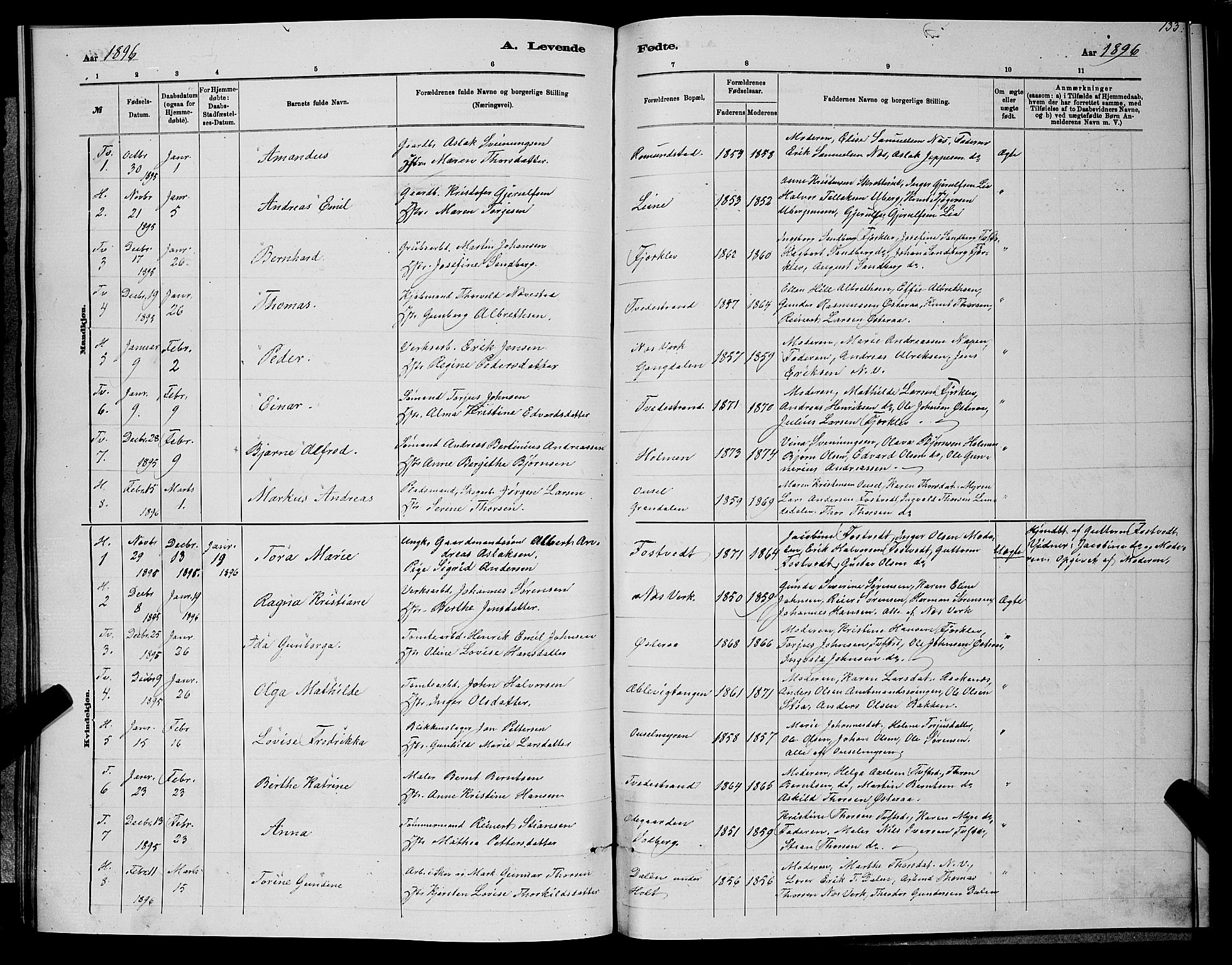 Holt sokneprestkontor, AV/SAK-1111-0021/F/Fb/L0010: Parish register (copy) no. B 10, 1883-1896, p. 133