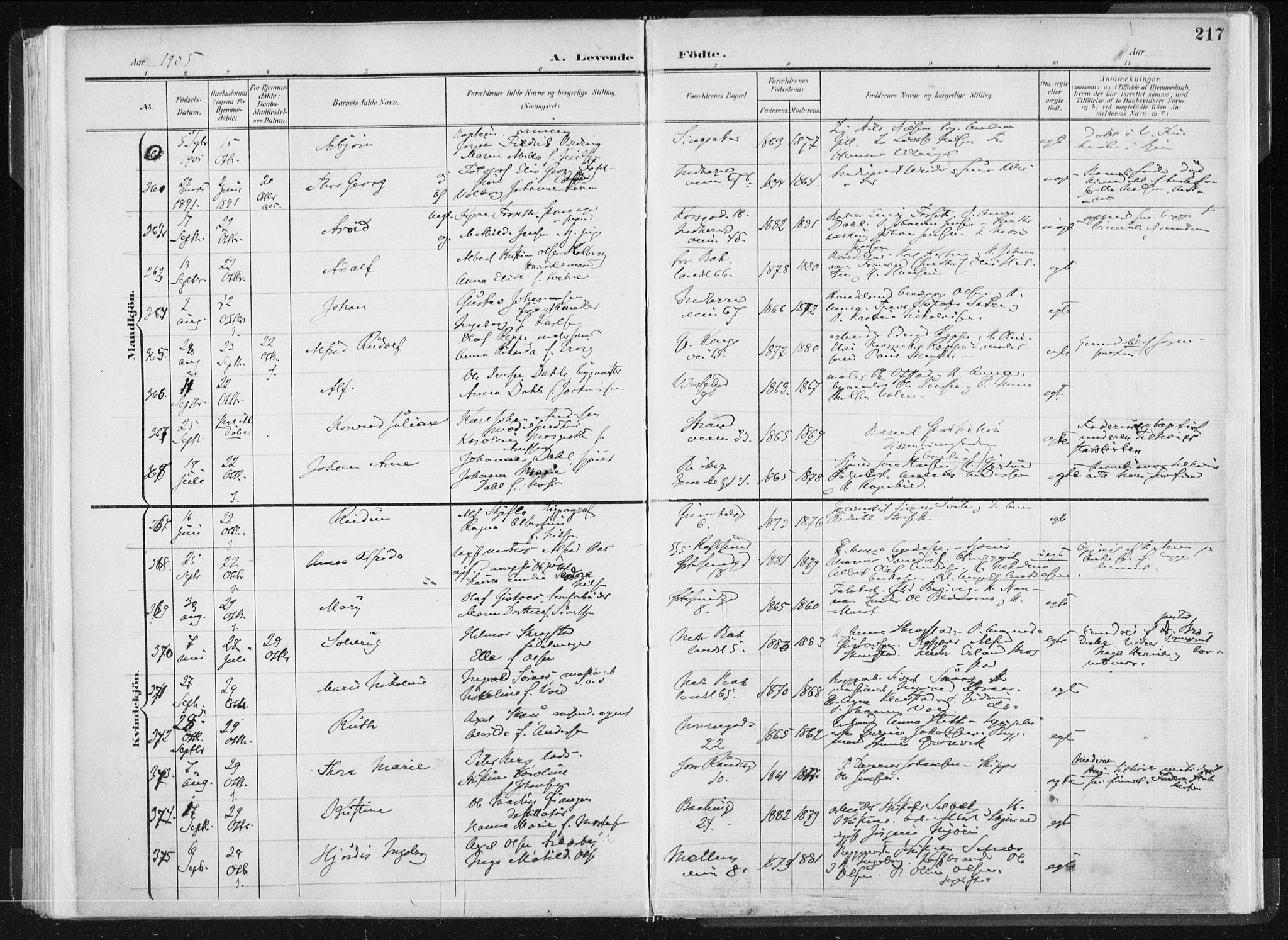 Ministerialprotokoller, klokkerbøker og fødselsregistre - Sør-Trøndelag, AV/SAT-A-1456/604/L0199: Parish register (official) no. 604A20I, 1901-1906, p. 217