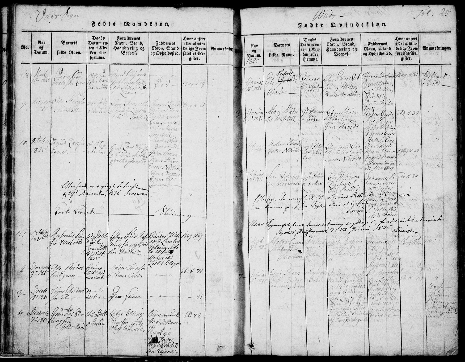 Skjold sokneprestkontor, AV/SAST-A-101847/H/Ha/Hab/L0002: Parish register (copy) no. B 2 /2, 1815-1830, p. 25