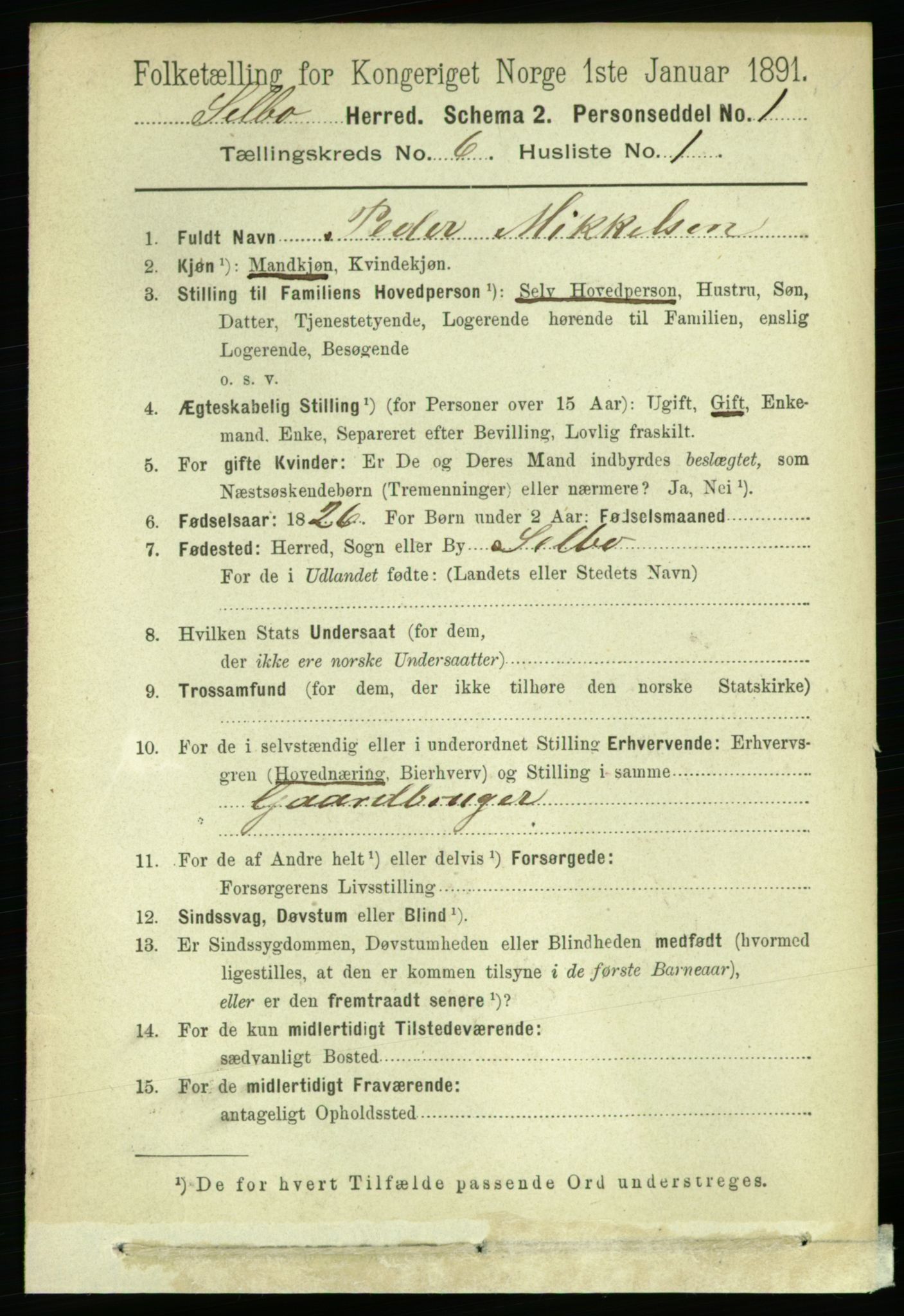 RA, 1891 census for 1664 Selbu, 1891, p. 2125