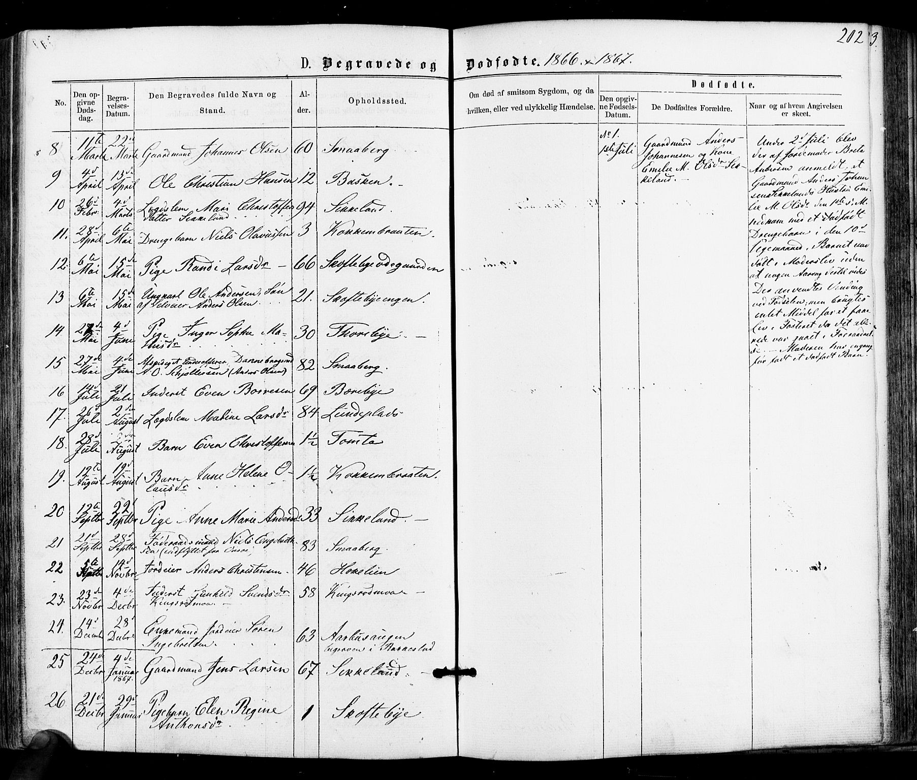 Varteig prestekontor Kirkebøker, SAO/A-10447a/F/Fa/L0001: Parish register (official) no. 1, 1861-1877, p. 202
