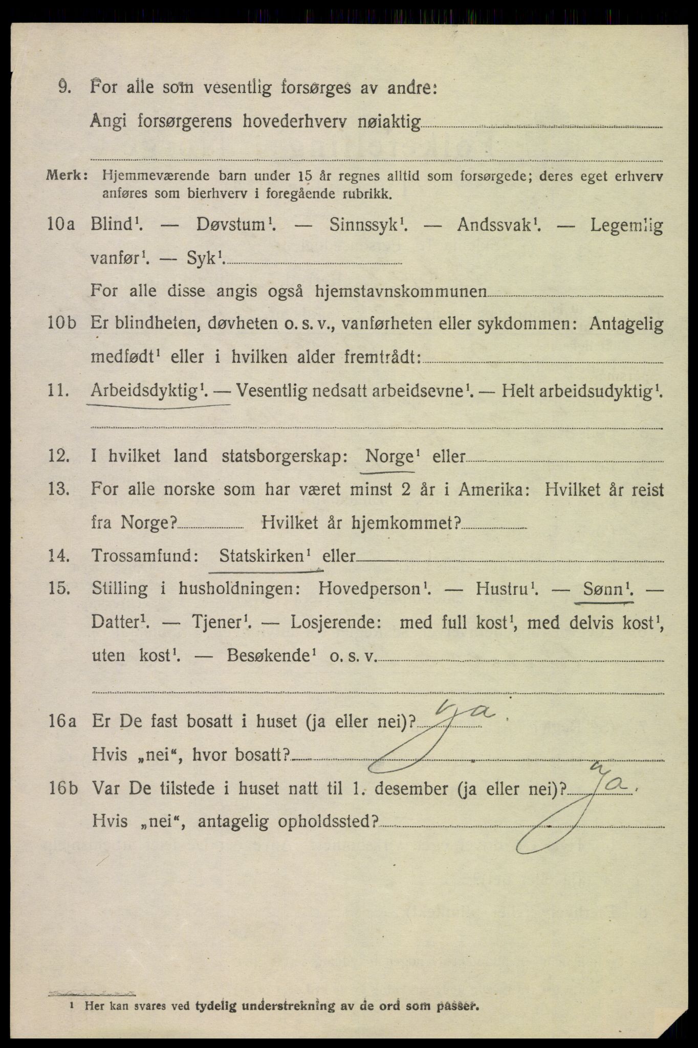 SAH, 1920 census for Skjåk, 1920, p. 3383