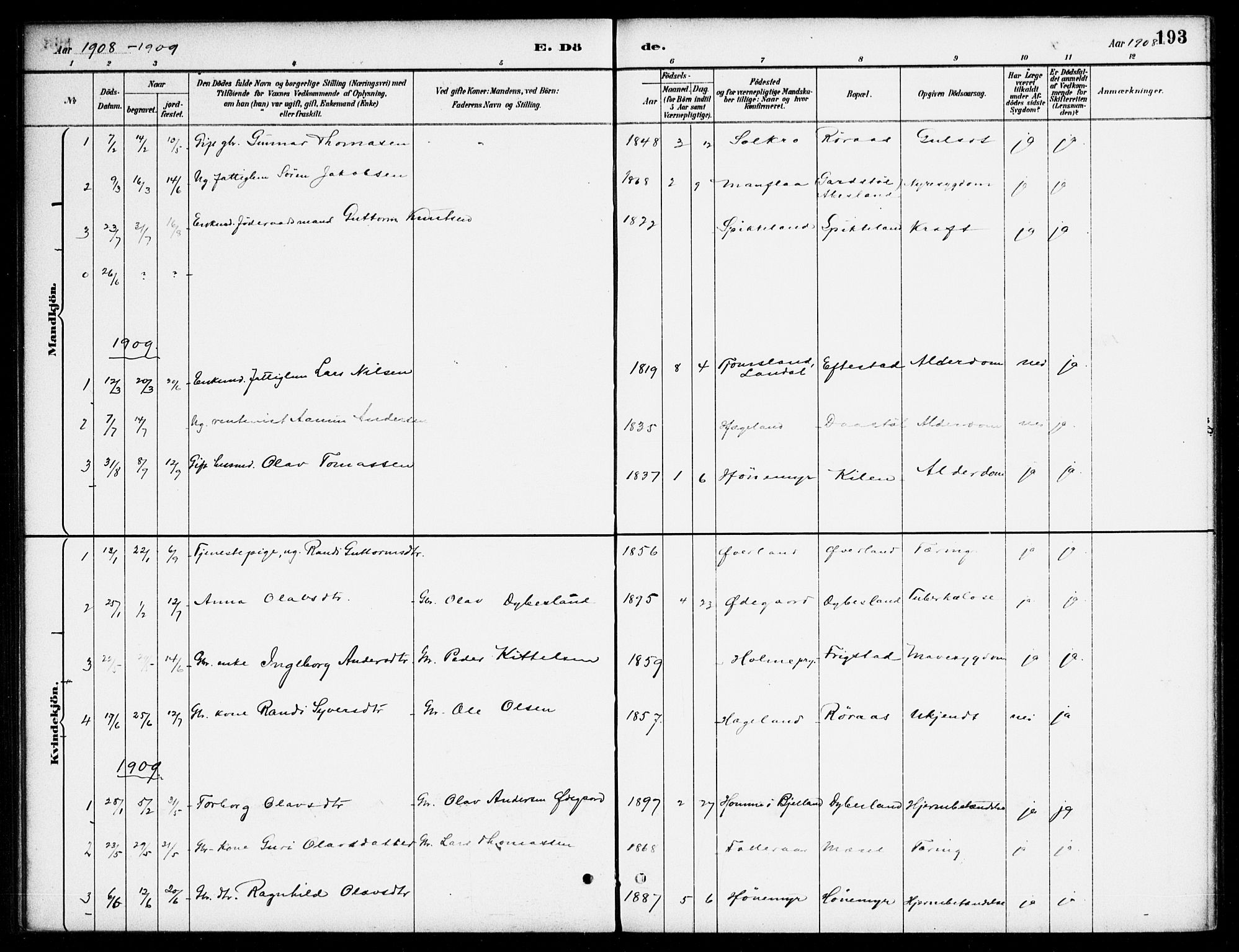 Bjelland sokneprestkontor, SAK/1111-0005/F/Fa/Fab/L0004: Parish register (official) no. A 4, 1887-1920, p. 193