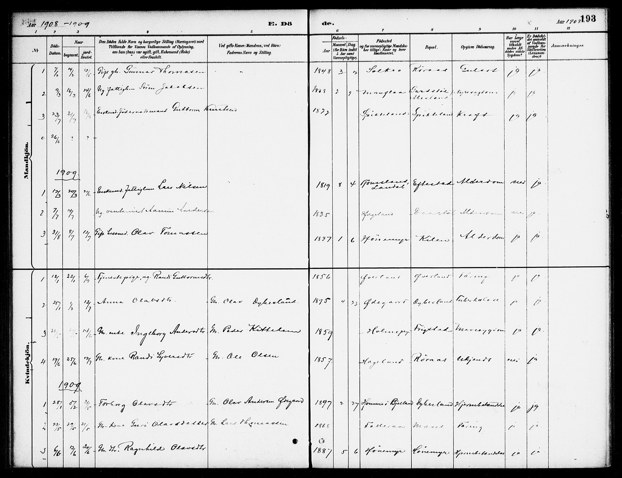 Bjelland sokneprestkontor, AV/SAK-1111-0005/F/Fa/Fab/L0004: Parish register (official) no. A 4, 1887-1920, p. 193