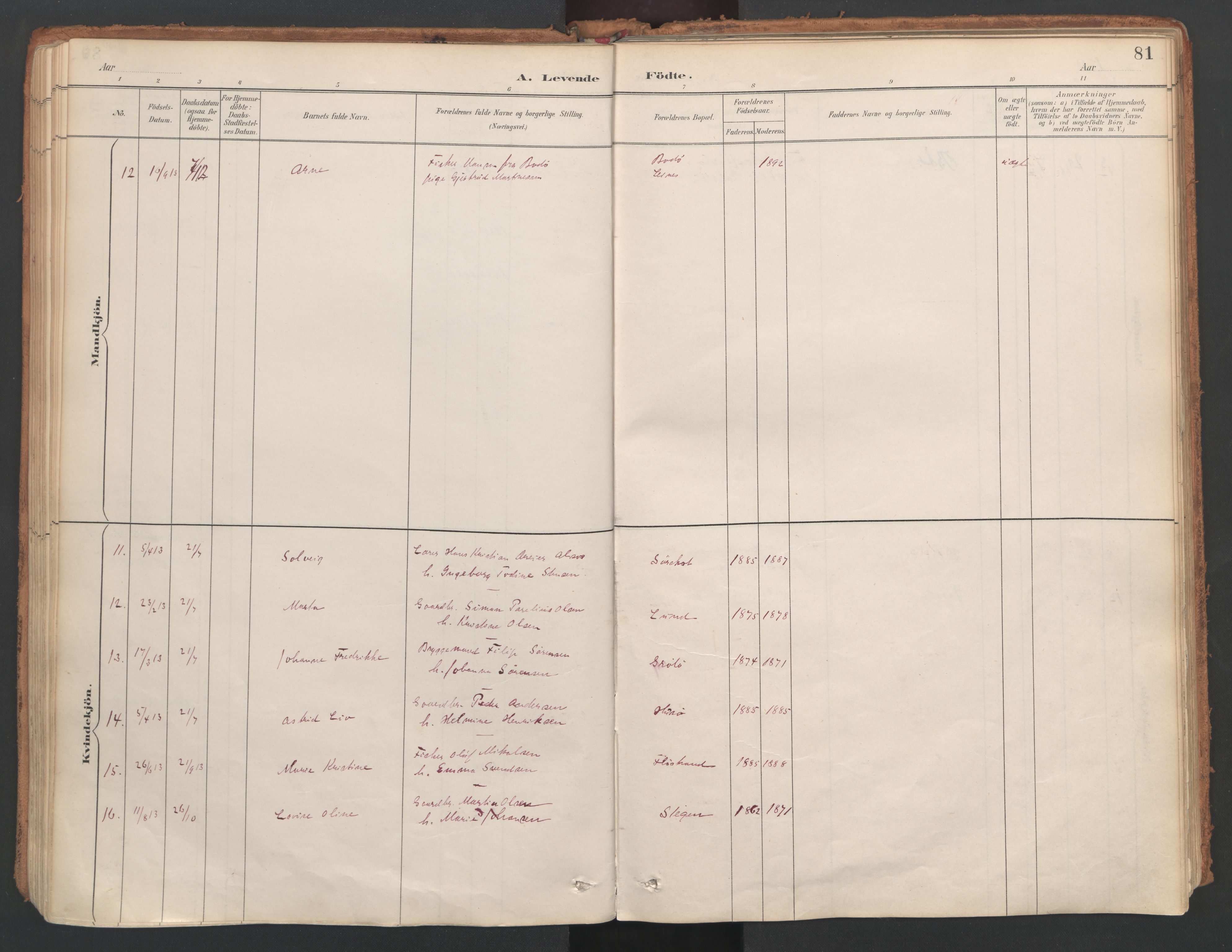 Ministerialprotokoller, klokkerbøker og fødselsregistre - Nordland, AV/SAT-A-1459/857/L0822: Parish register (official) no. 857A02, 1890-1917, p. 81