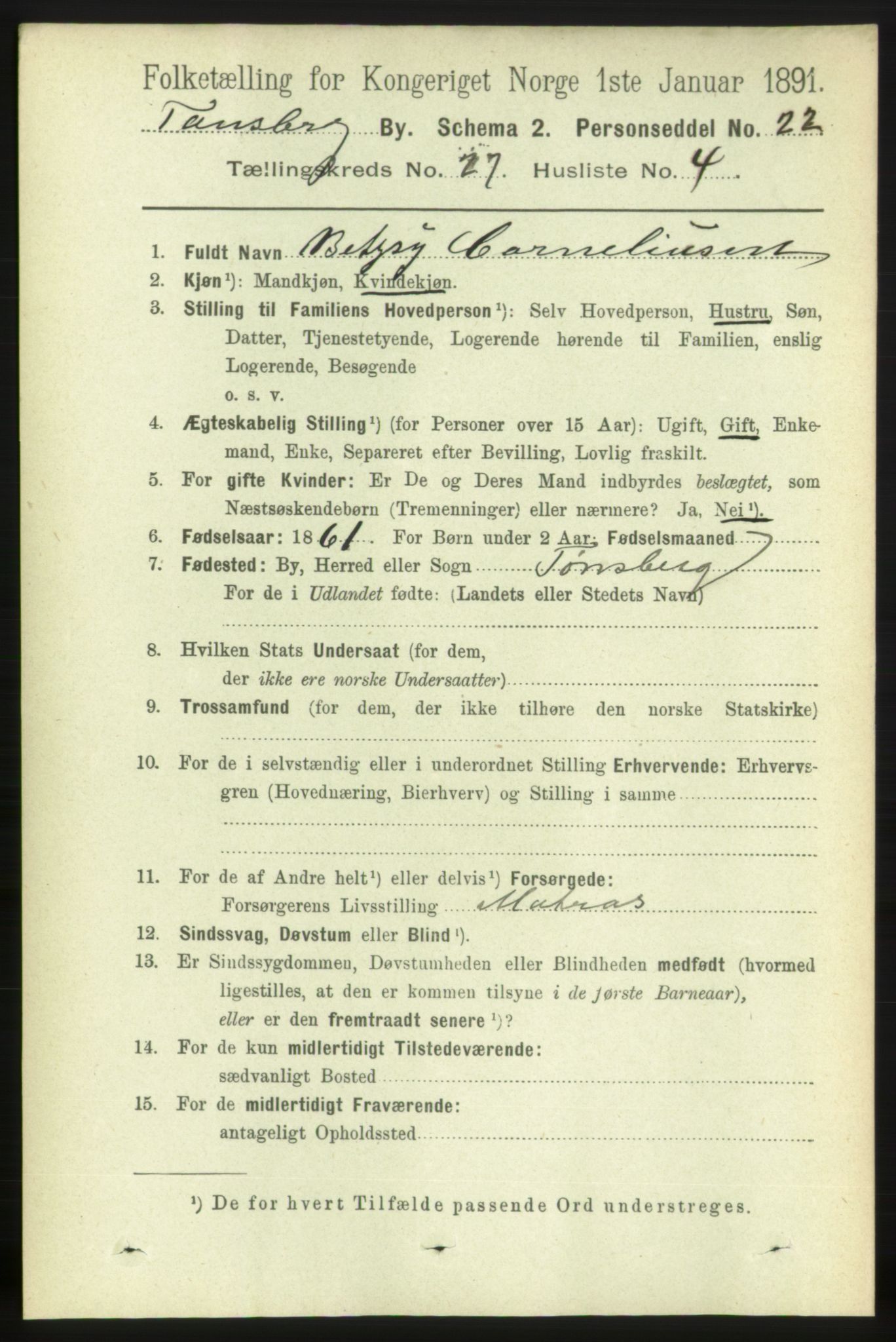 RA, 1891 census for 0705 Tønsberg, 1891, p. 6823