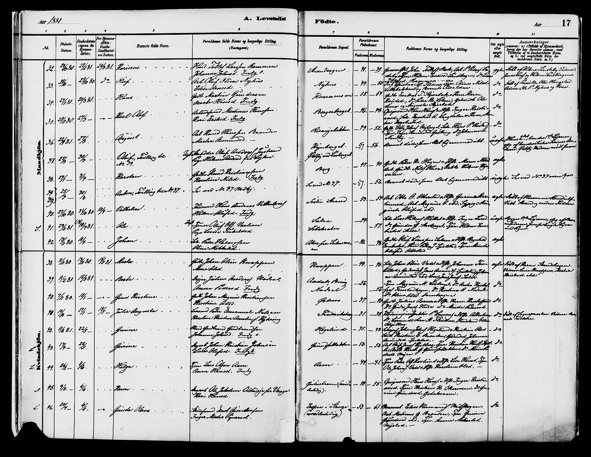 Elverum prestekontor, AV/SAH-PREST-044/H/Ha/Haa/L0013: Parish register (official) no. 13, 1880-1890, p. 17