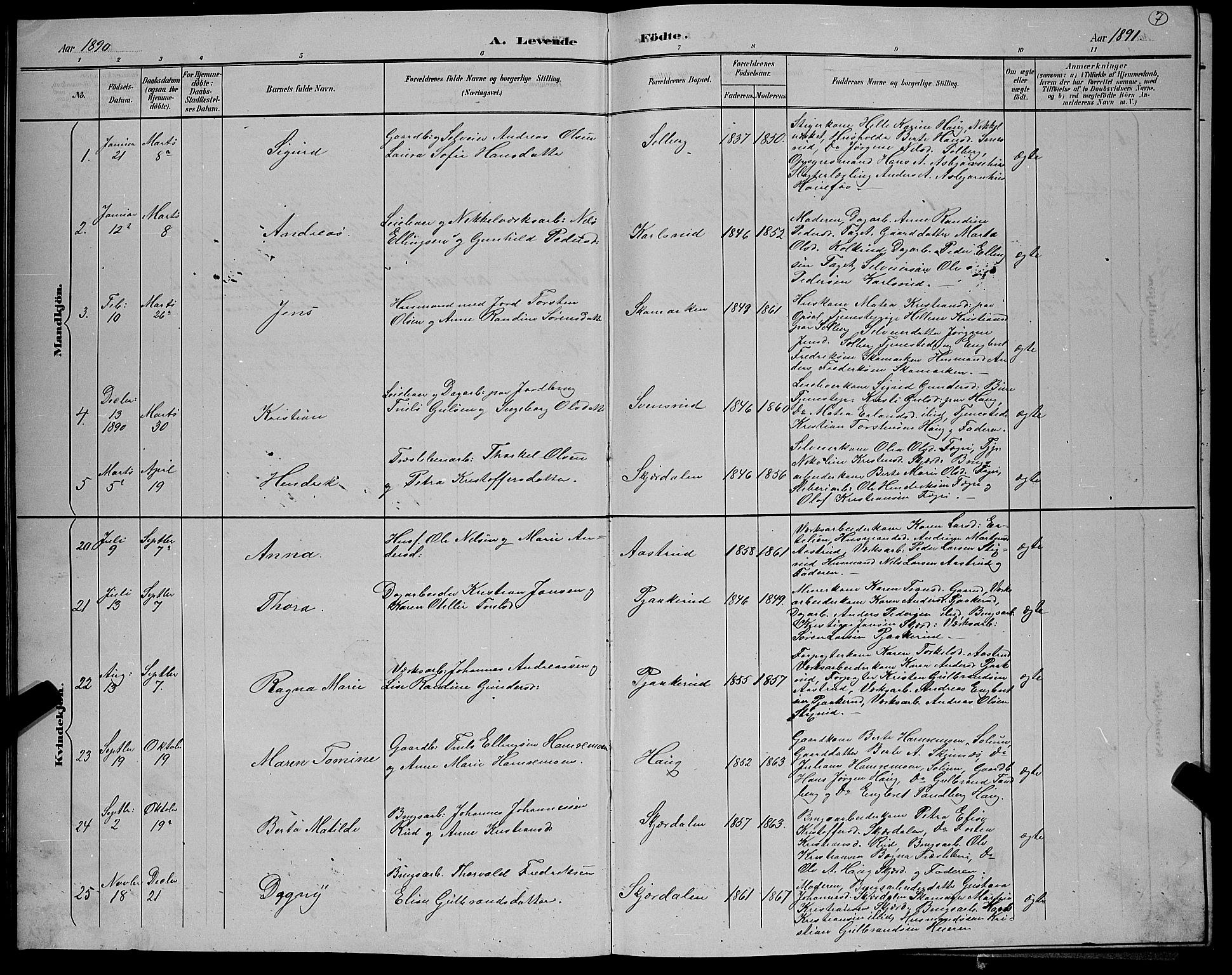 Hole kirkebøker, AV/SAKO-A-228/G/Gb/L0003: Parish register (copy) no. II 3, 1890-1901, p. 7