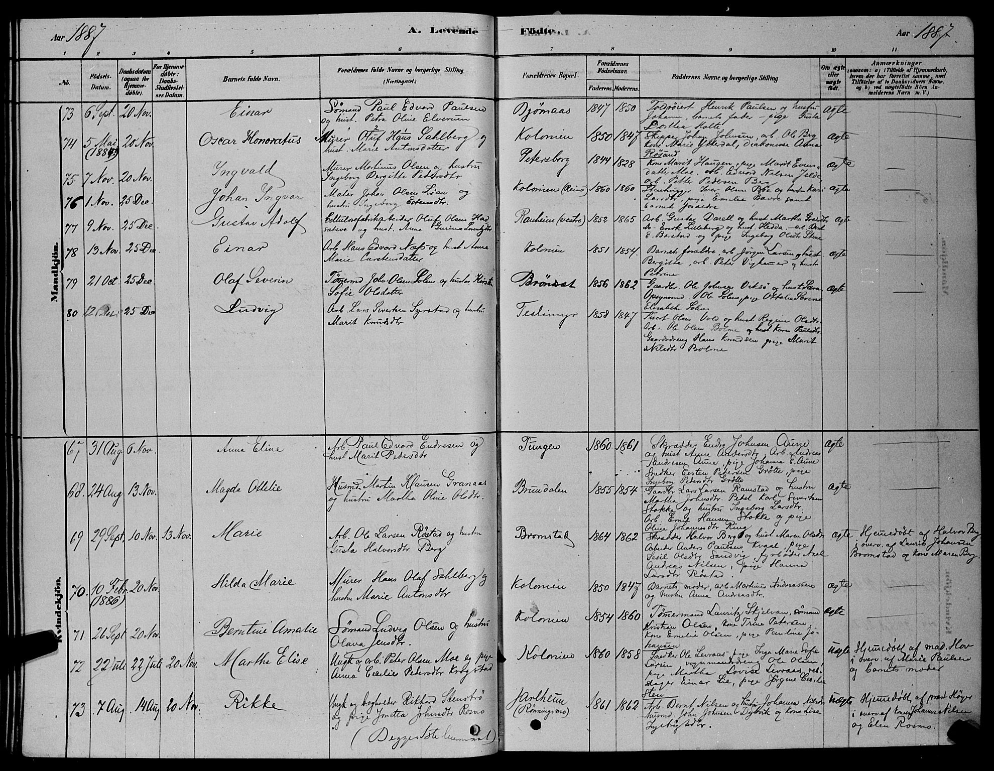 Ministerialprotokoller, klokkerbøker og fødselsregistre - Sør-Trøndelag, AV/SAT-A-1456/606/L0312: Parish register (copy) no. 606C08, 1878-1894