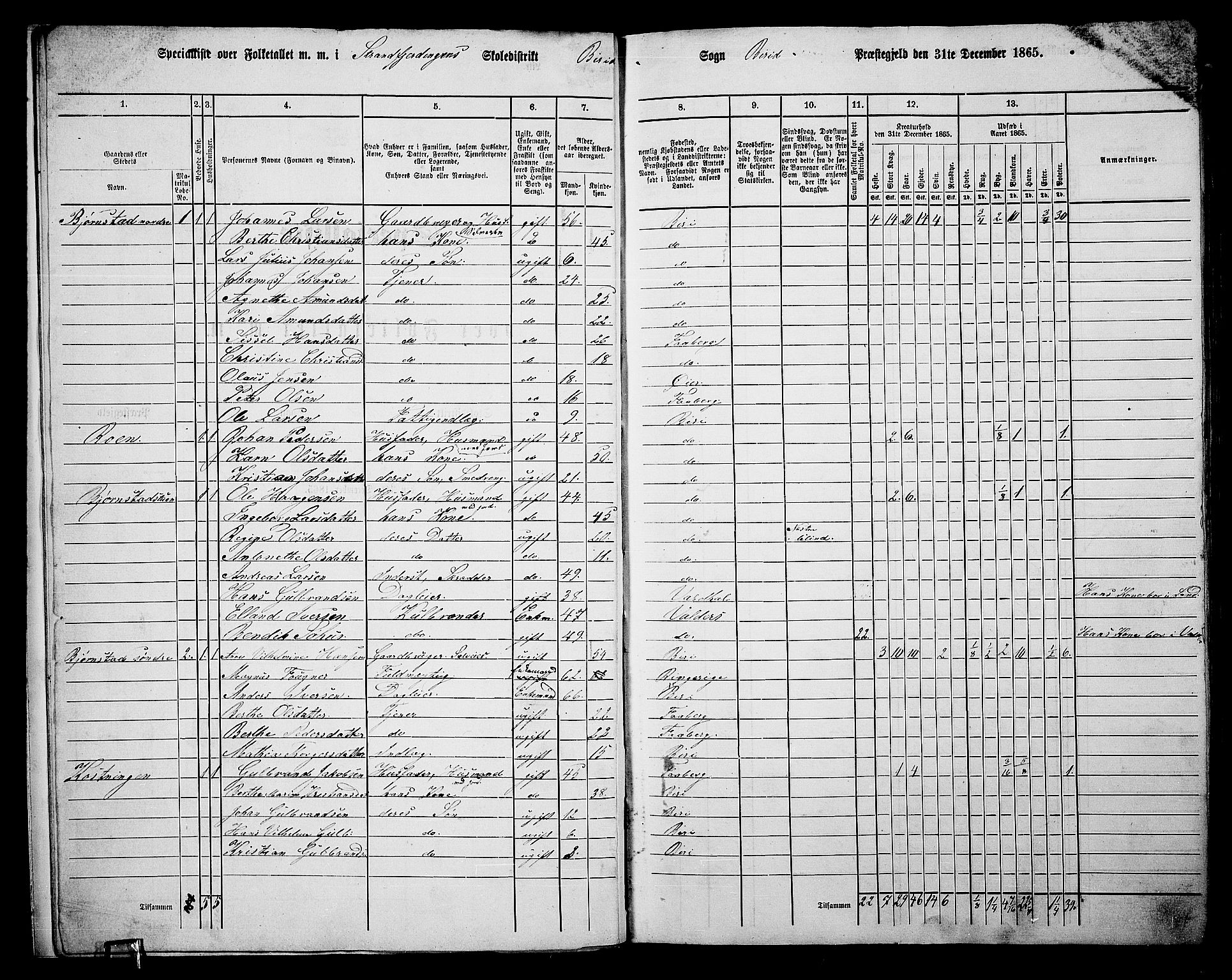 RA, 1865 census for Biri, 1865, p. 12