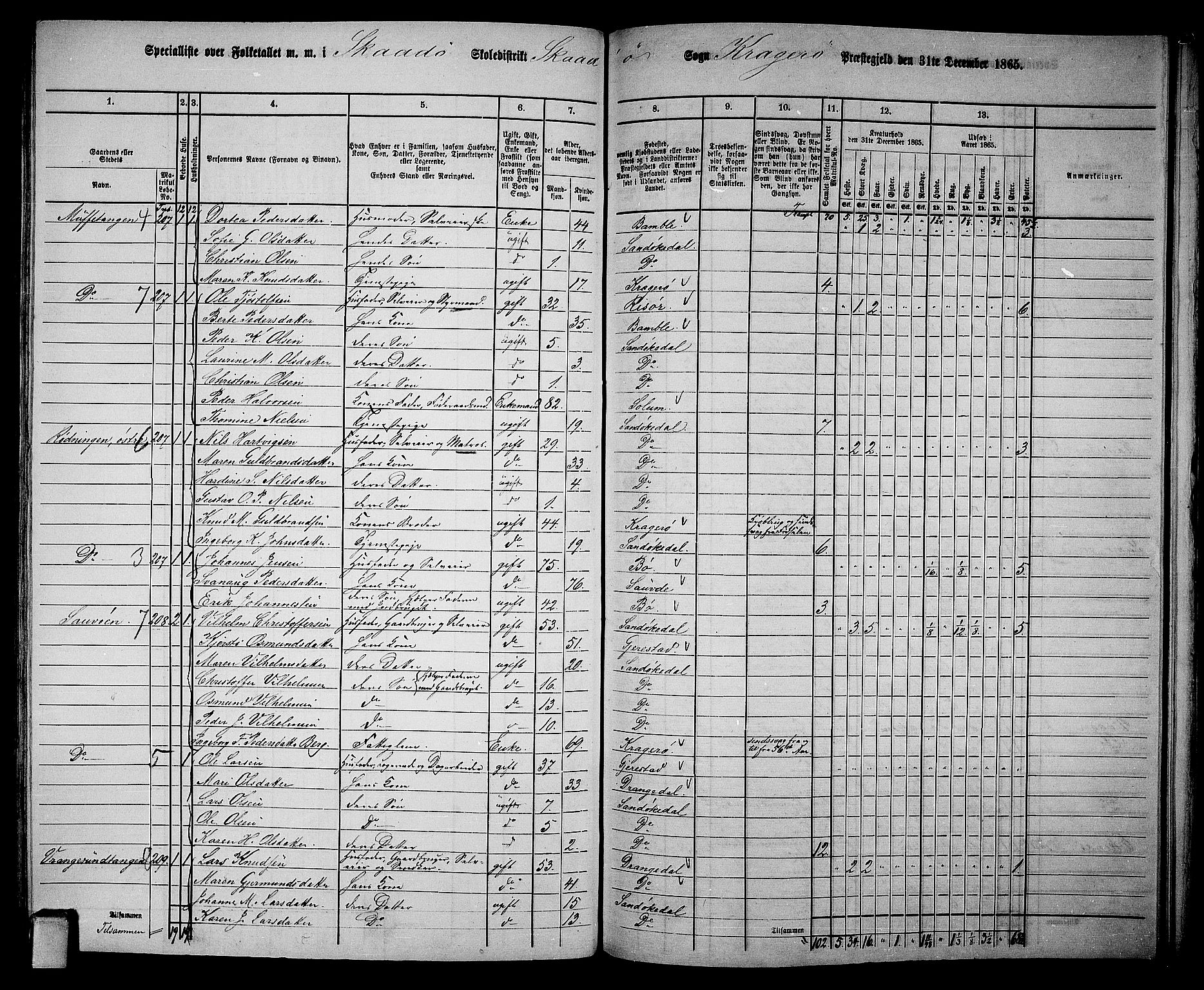 RA, 1865 census for Kragerø/Sannidal og Skåtøy, 1865, p. 180